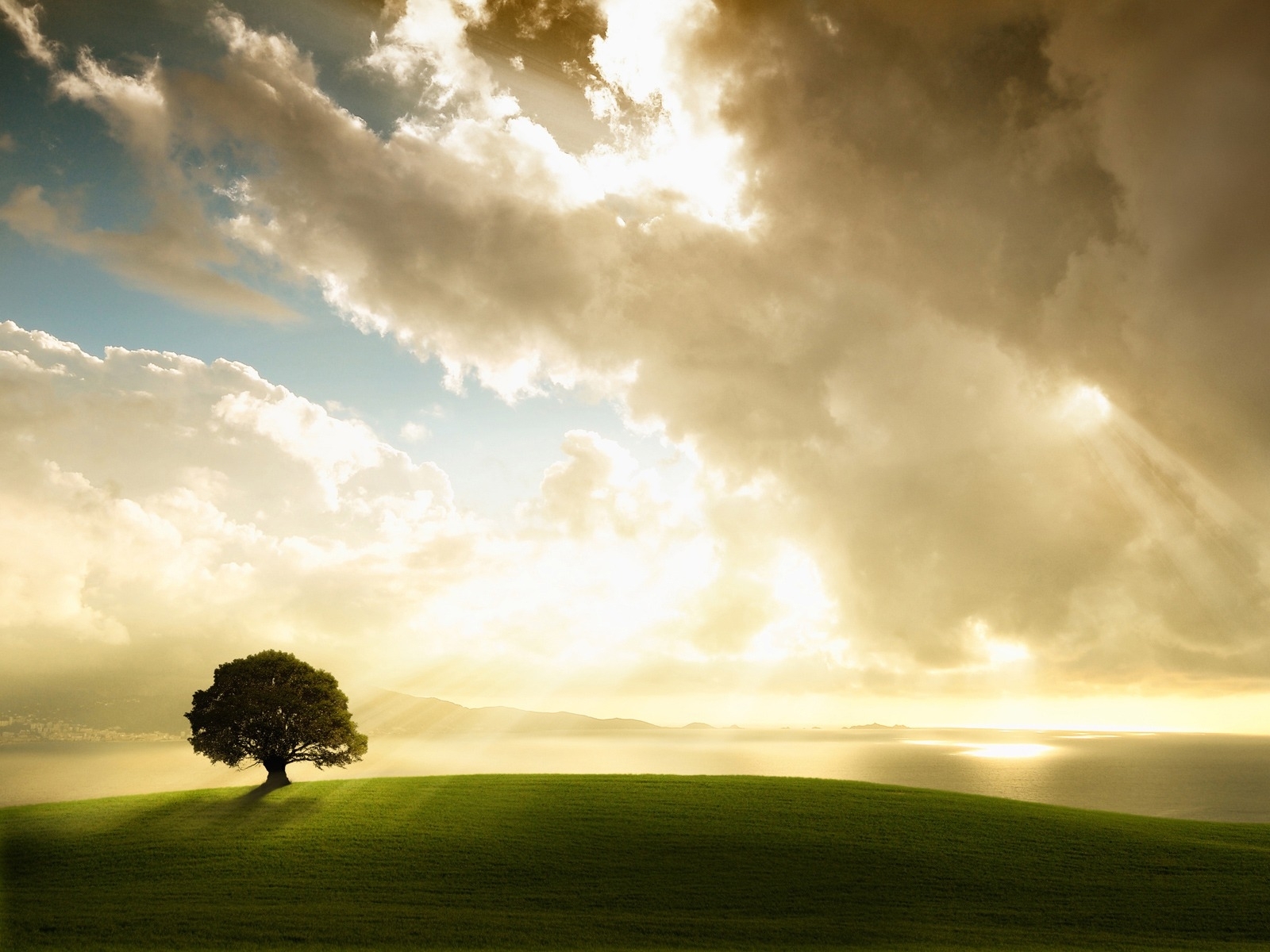 Download mobile wallpaper Trees, Landscape, Sky for free.