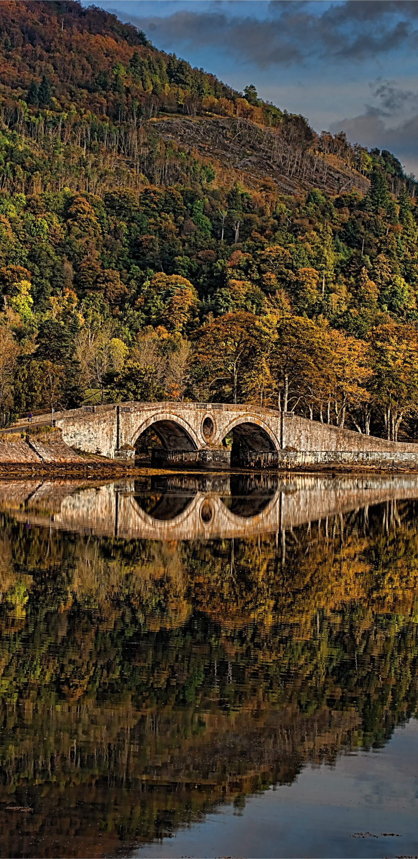 Скачать картинку Природа, Вода, Отражение, Лес, Мост, Фотографии в телефон бесплатно.