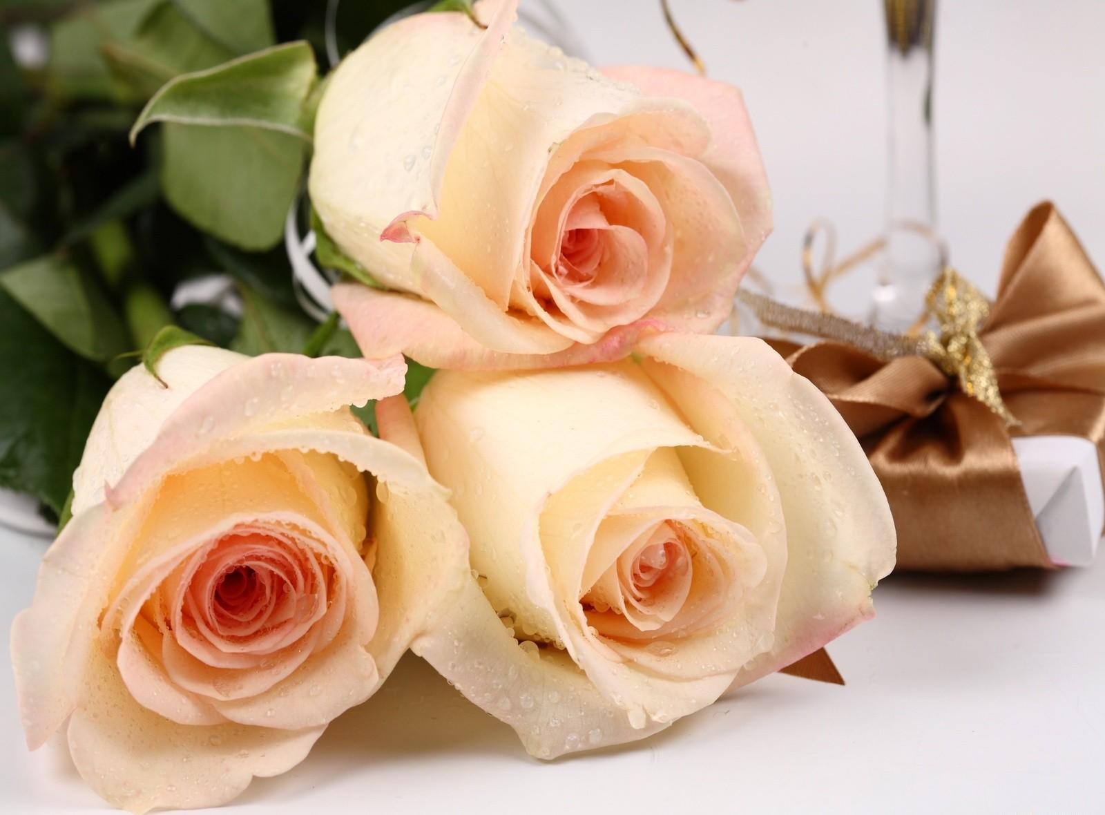 drops, flowers, roses, bouquet, freshness, present, gift, surprise Full HD