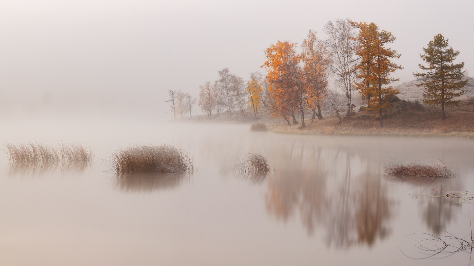 Baixe gratuitamente a imagem Natureza, Lago, Árvore, Terra/natureza, Neblina na área de trabalho do seu PC