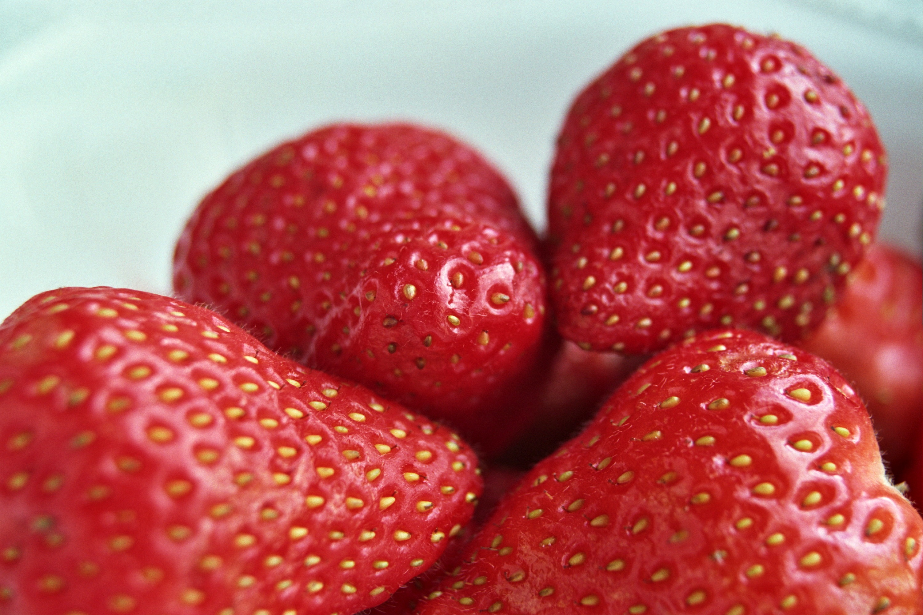strawberry, berries, macro, close up, big plan