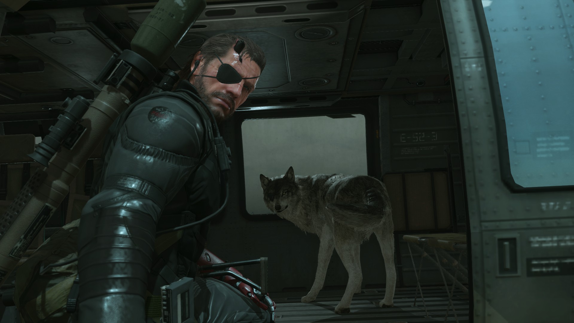 Die besten D Hund (Metal Gear Solid)-Hintergründe für den Telefonbildschirm