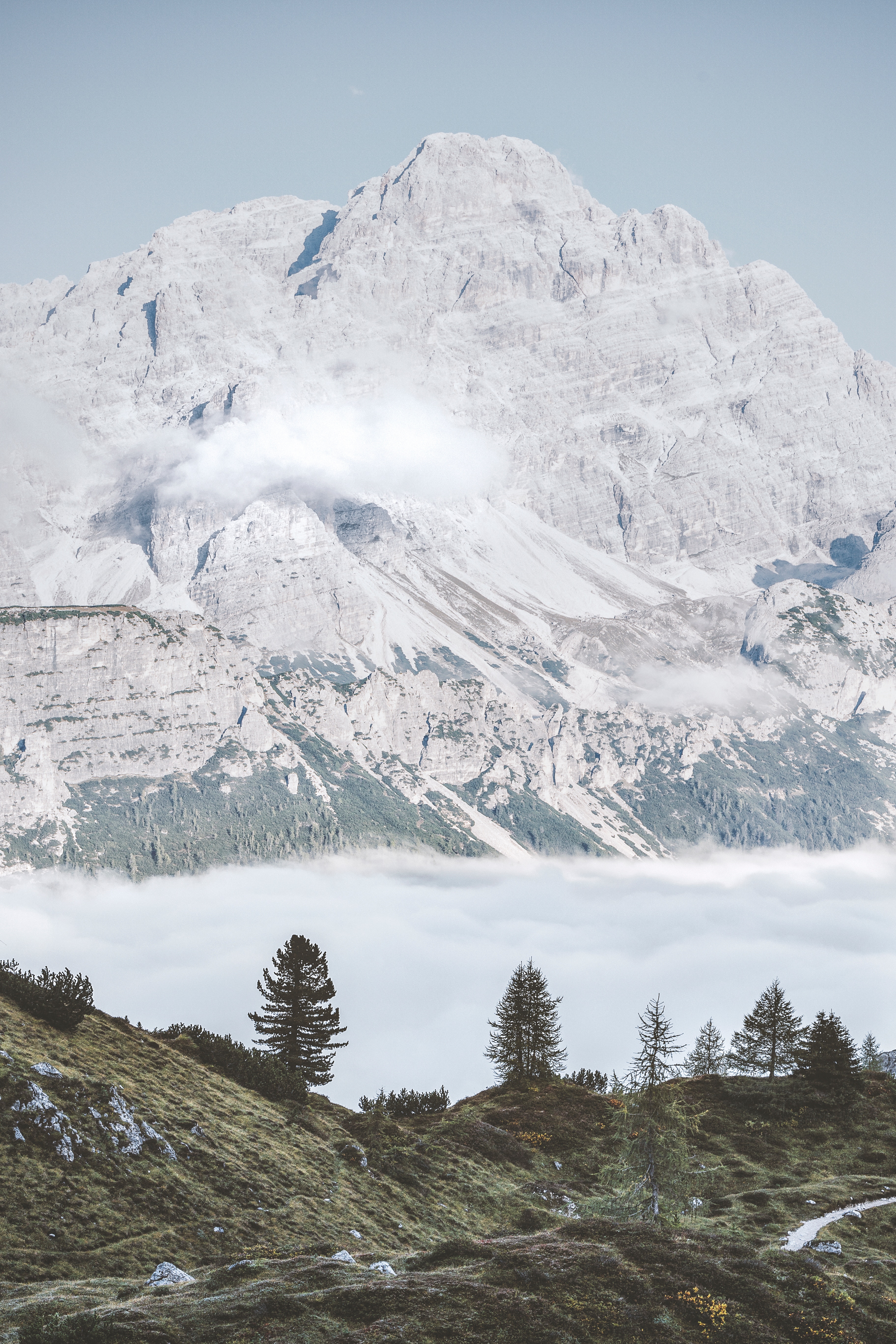 126007 descargar fondo de pantalla naturaleza, árboles, montañas, niebla, las colinas, colinas, pie: protectores de pantalla e imágenes gratis