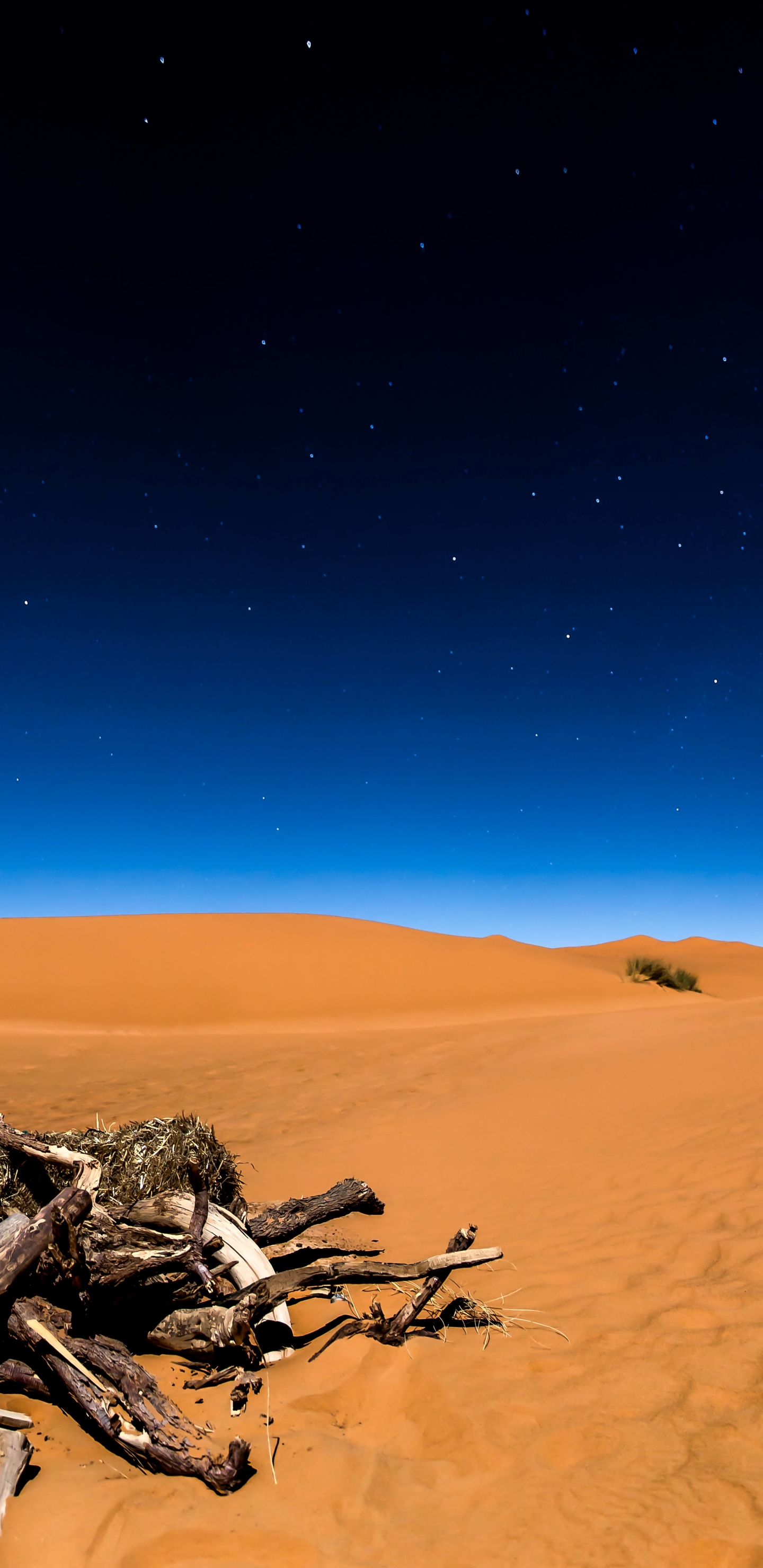 Download mobile wallpaper Night, Sand, Desert, Wood, Starry Sky, Earth for free.