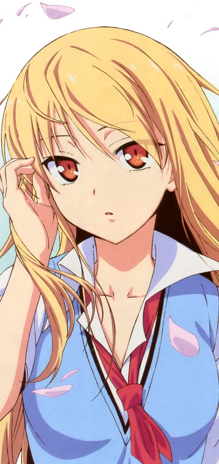 Téléchargez des papiers peints mobile Blond, Animé, Yeux Oranges, Mashiro Shiina, Sakurasou No Pet Na Kanojo gratuitement.