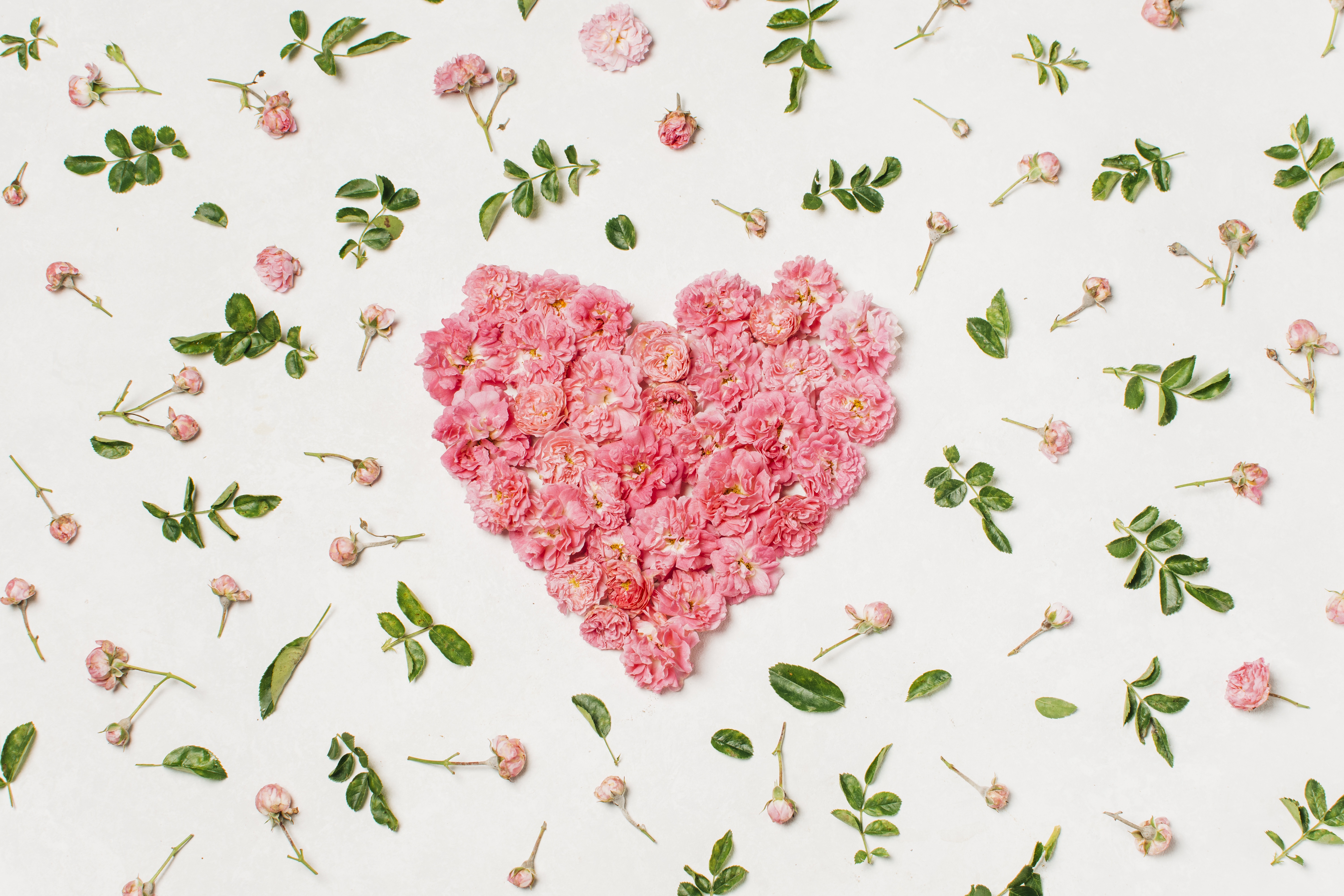 Download mobile wallpaper Love, Flower, Heart, Photography, Pink Flower for free.