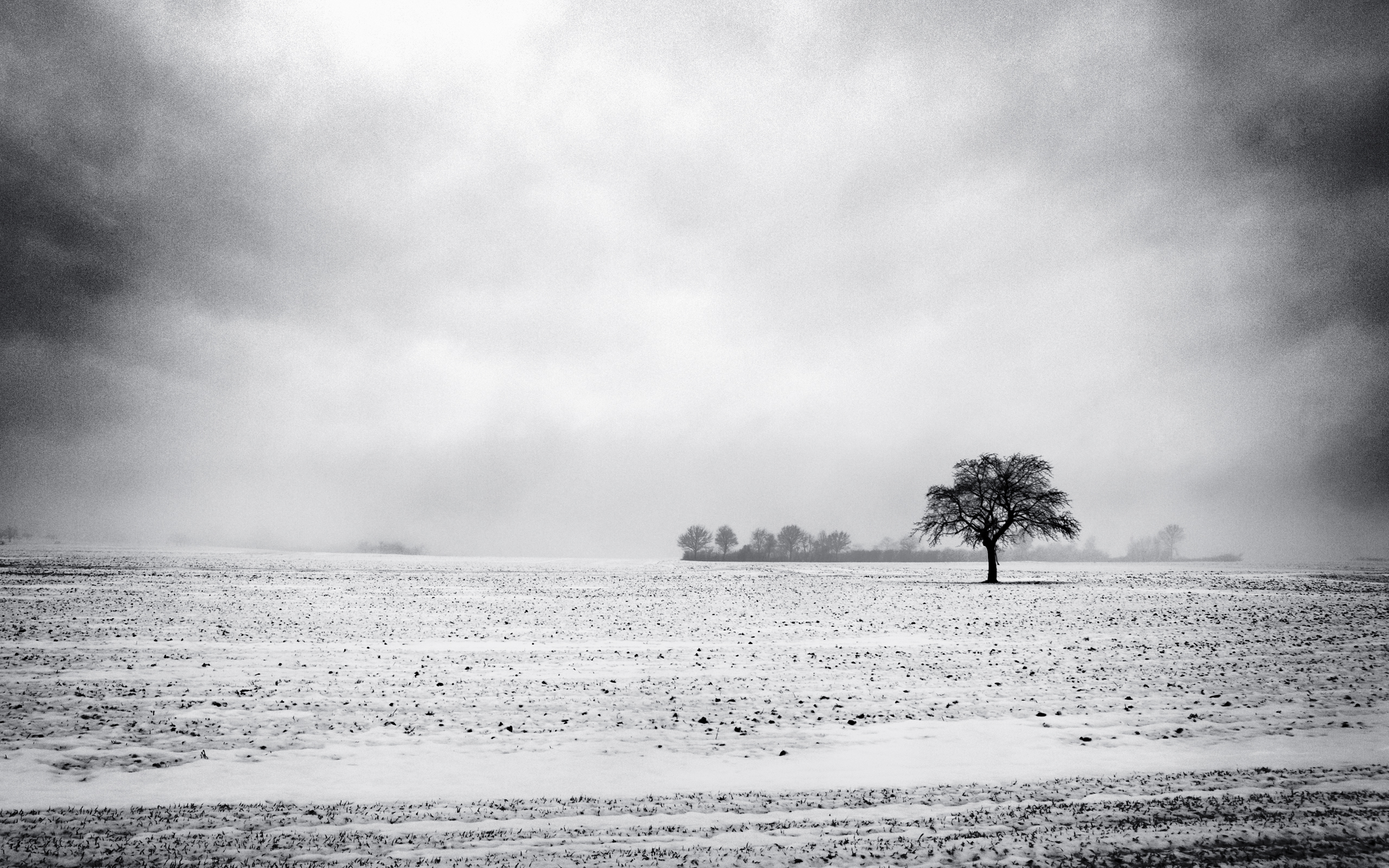 Free download wallpaper Tree, Earth, Field, Cloud on your PC desktop