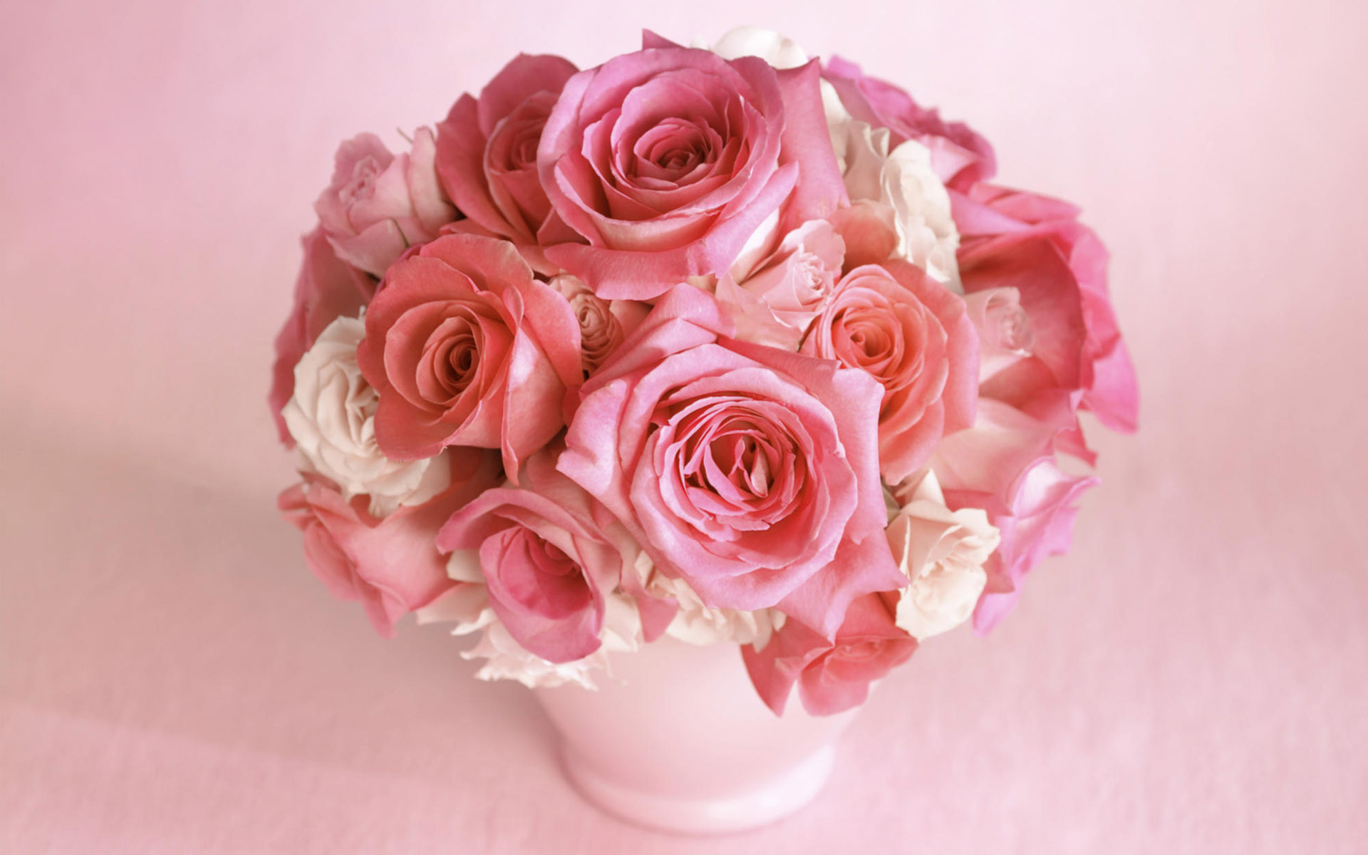 Laden Sie das Blume, Rose, Menschengemacht-Bild kostenlos auf Ihren PC-Desktop herunter