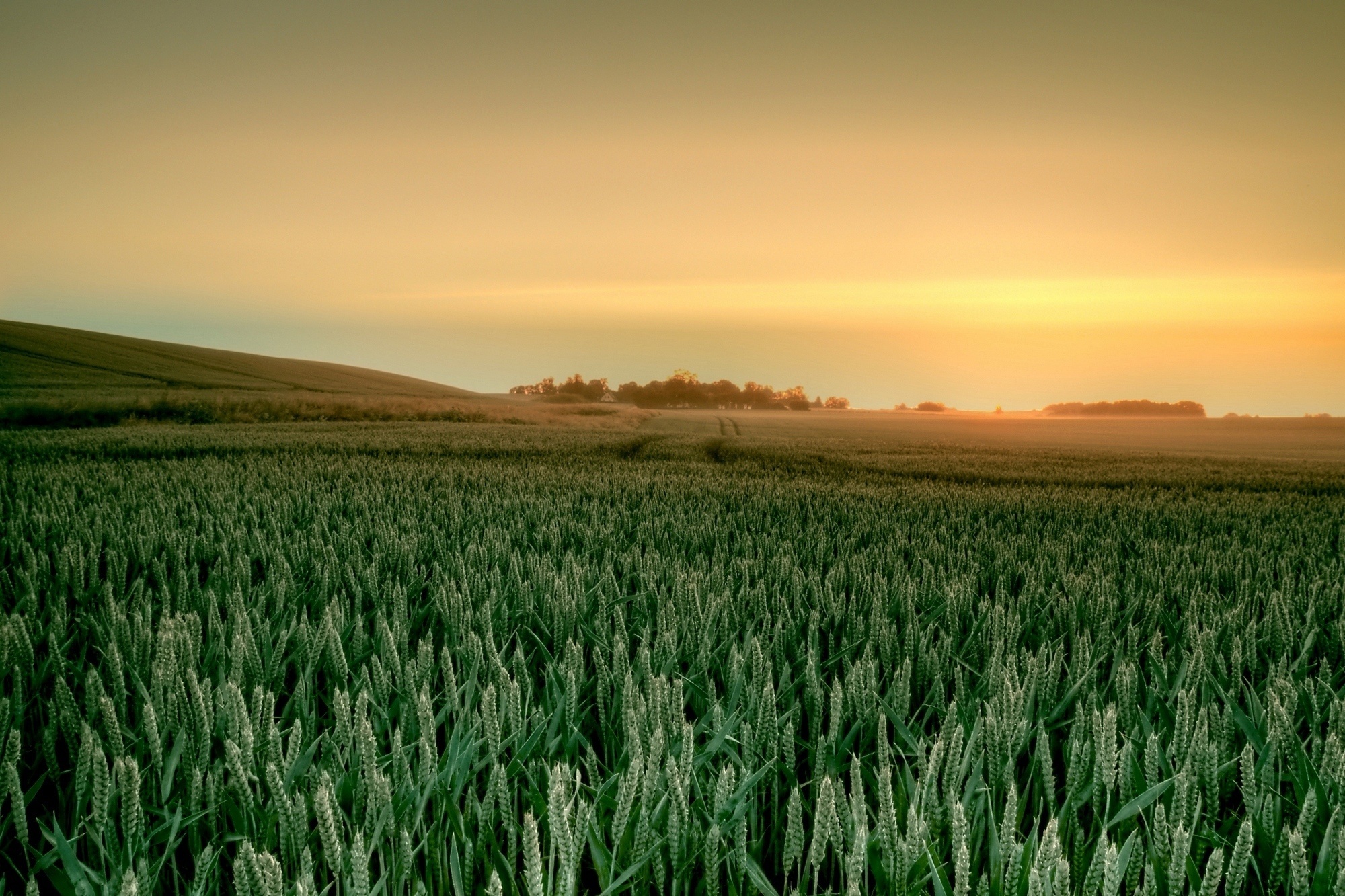 Descarga gratuita de fondo de pantalla para móvil de Campo, Tierra/naturaleza.