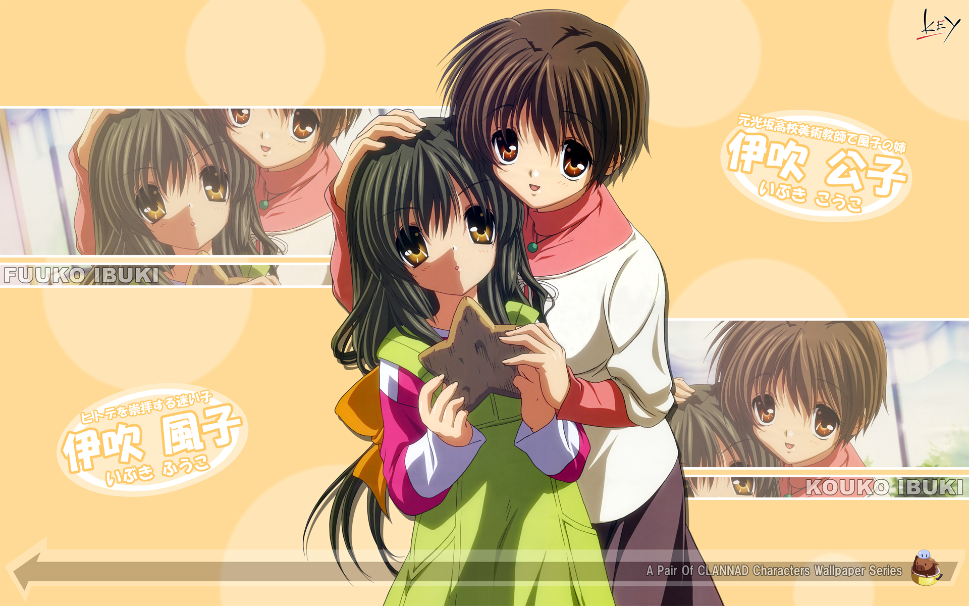 1078723 Hintergrundbild herunterladen animes, clannad, fuuko ibuki, kouko ibuki - Bildschirmschoner und Bilder kostenlos