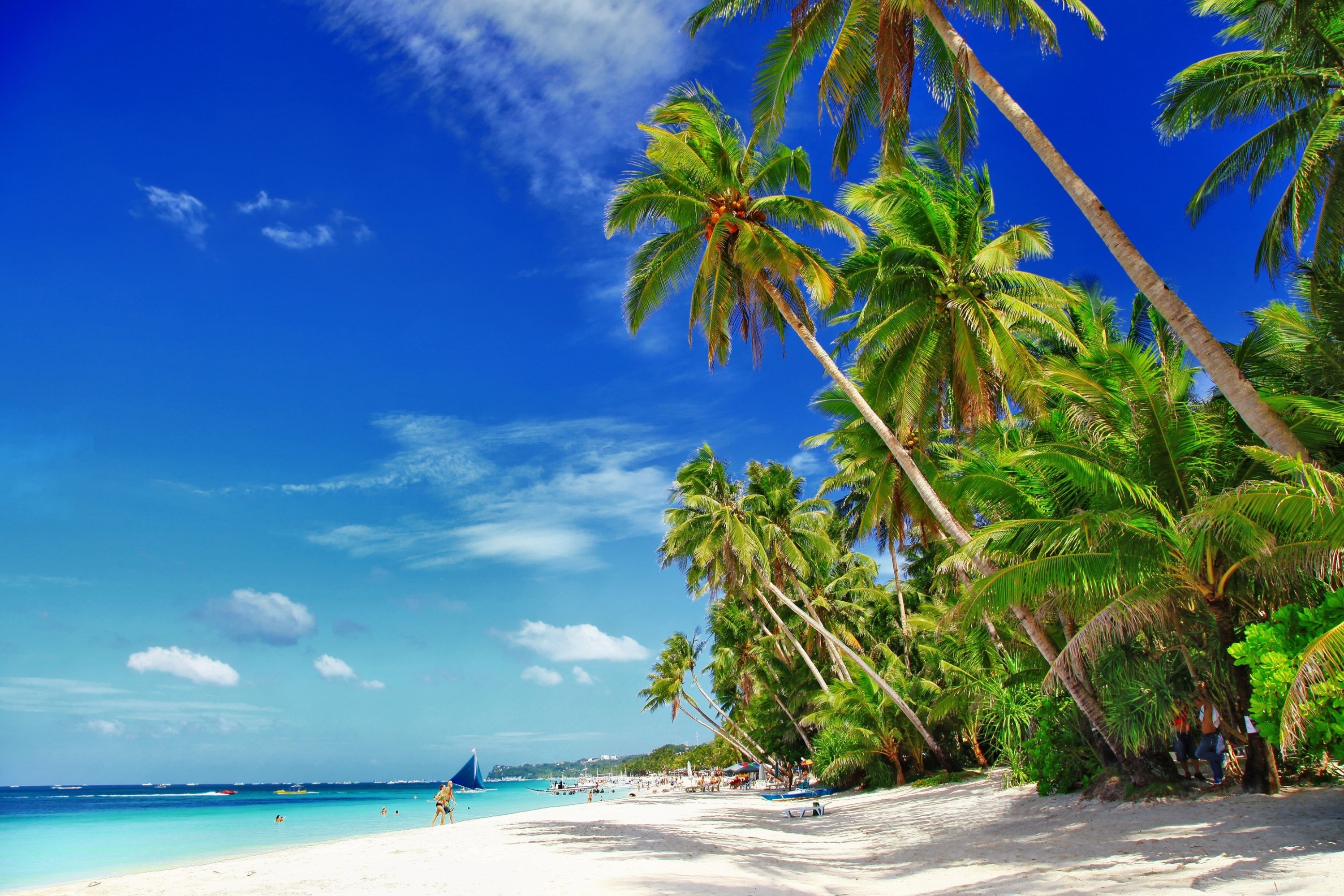 663396 télécharger l'image photographie, plage, palmier, philippines, mer, tropiques - fonds d'écran et économiseurs d'écran gratuits