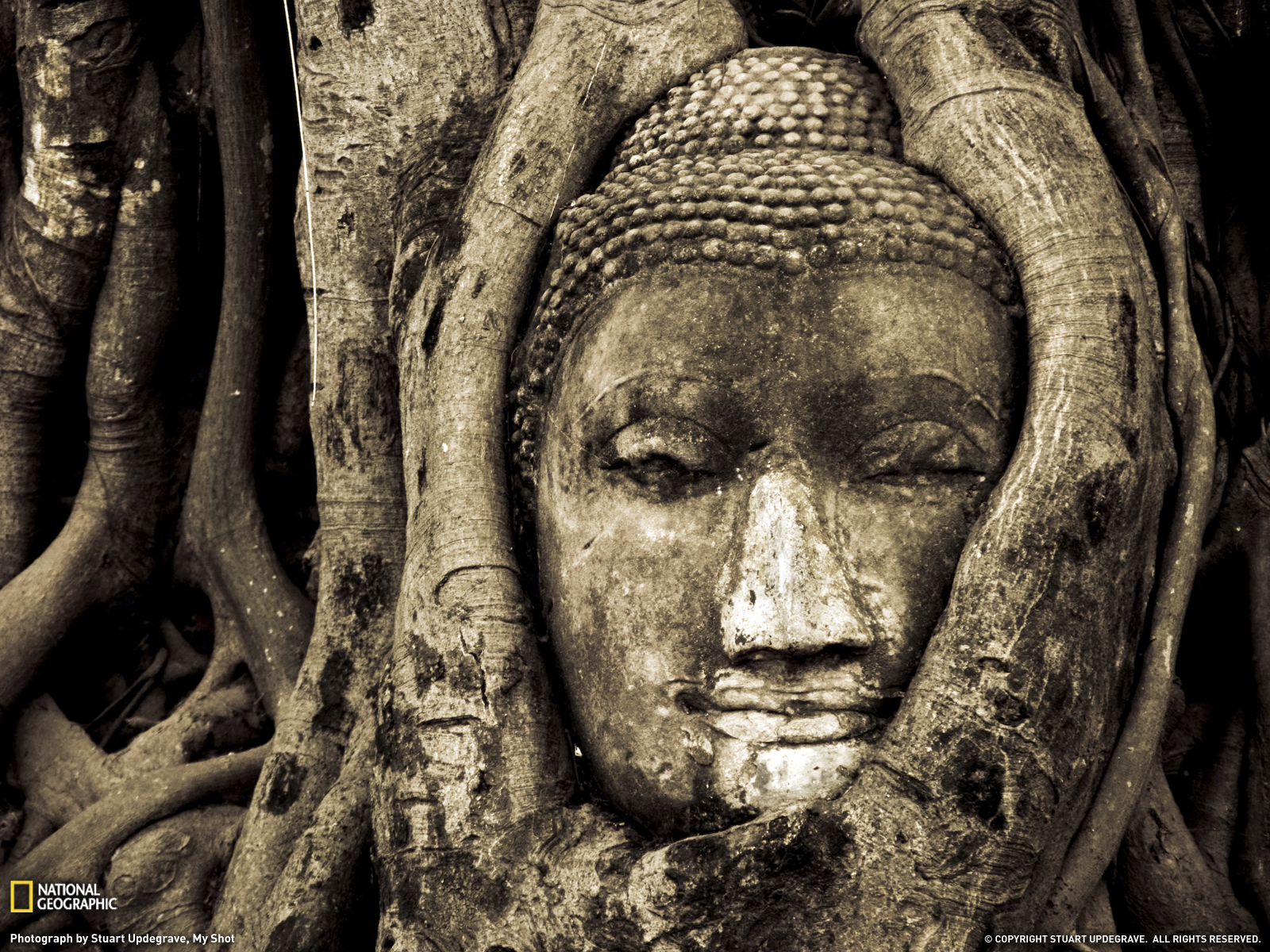542769 Bild herunterladen religiös, buddha, indien - Hintergrundbilder und Bildschirmschoner kostenlos
