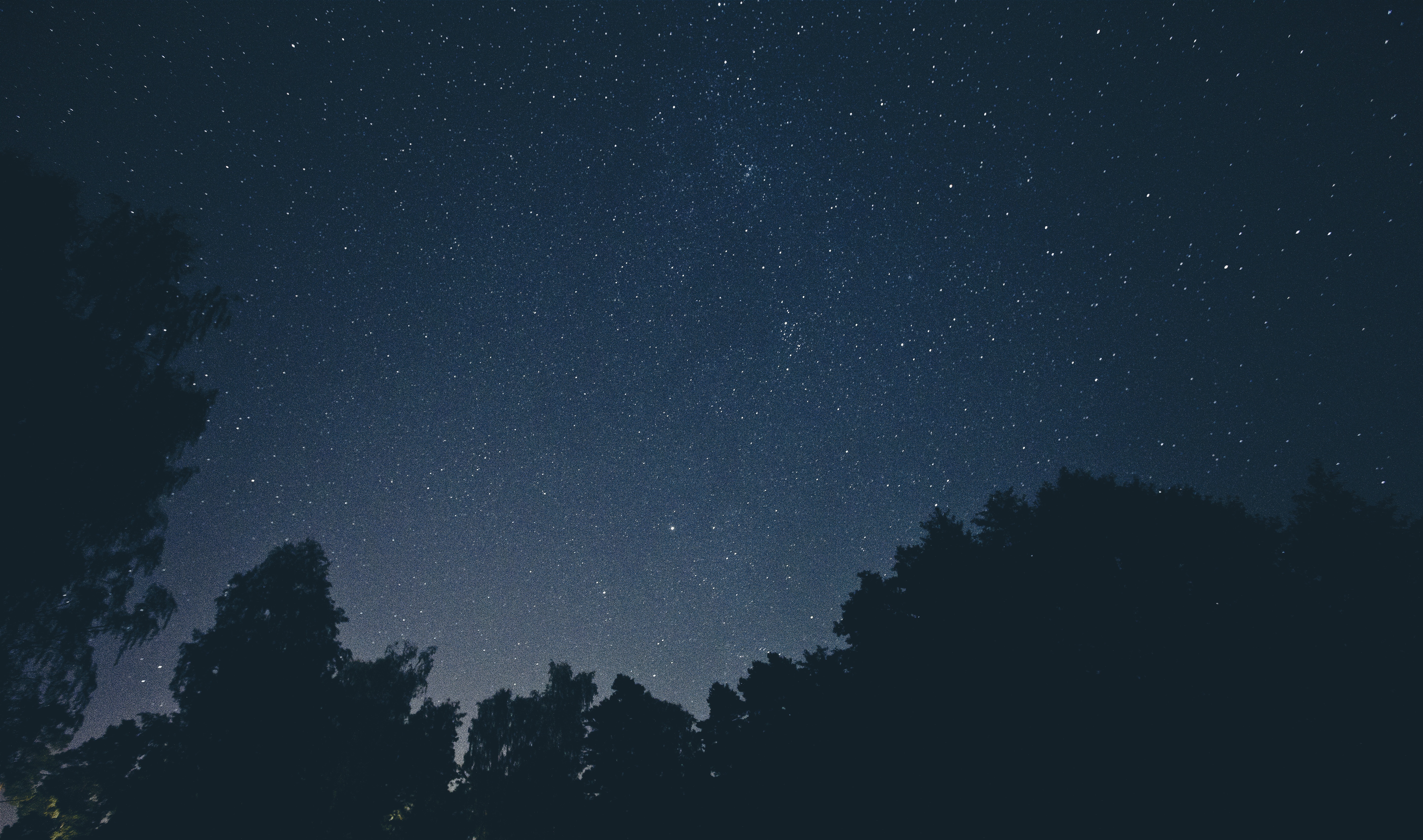 Download mobile wallpaper Sky, Stars, Night, Silhouette, Forest, Earth, Milky Way for free.