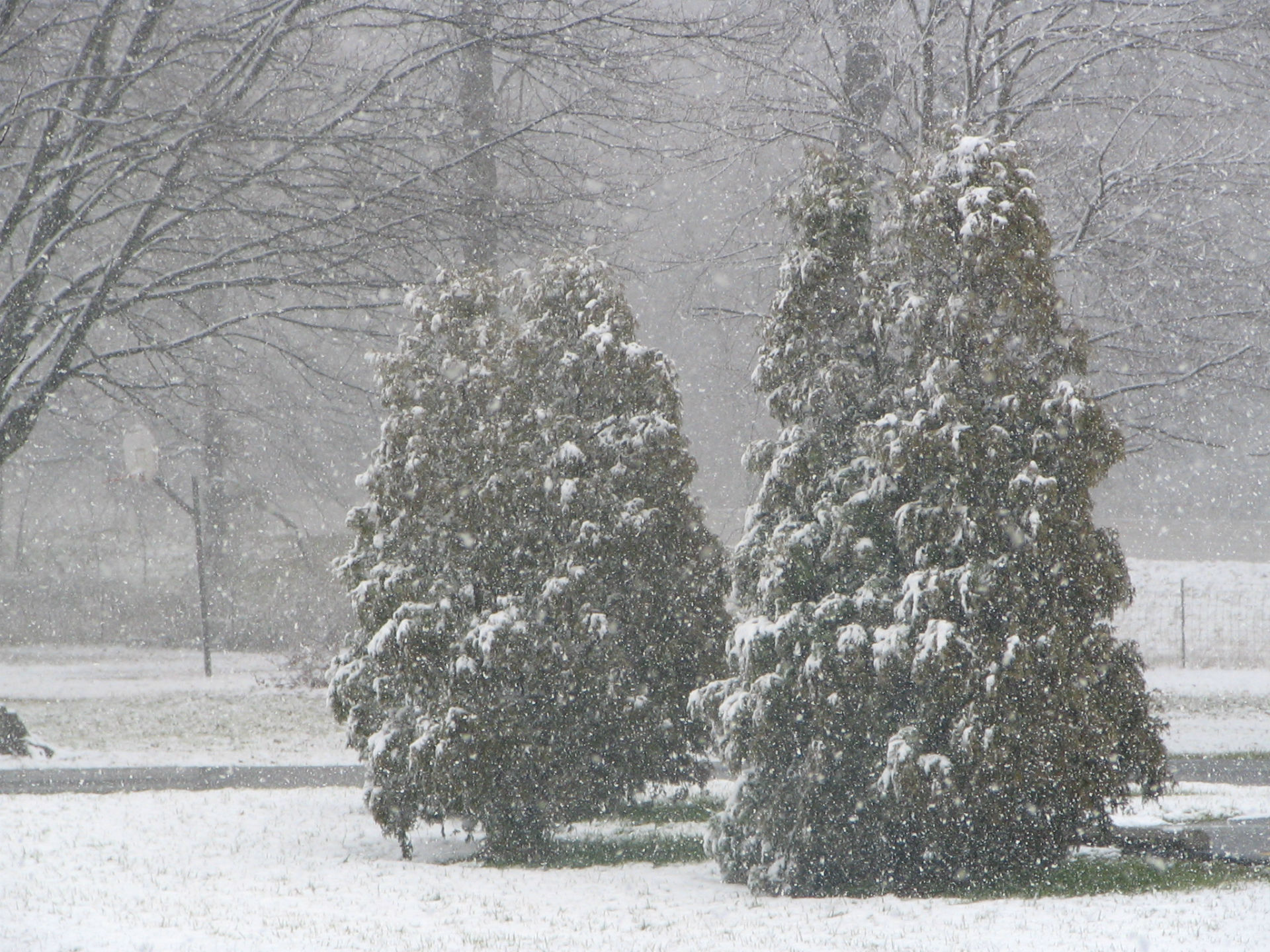 Descarga gratis la imagen Invierno, Fotografía en el escritorio de tu PC