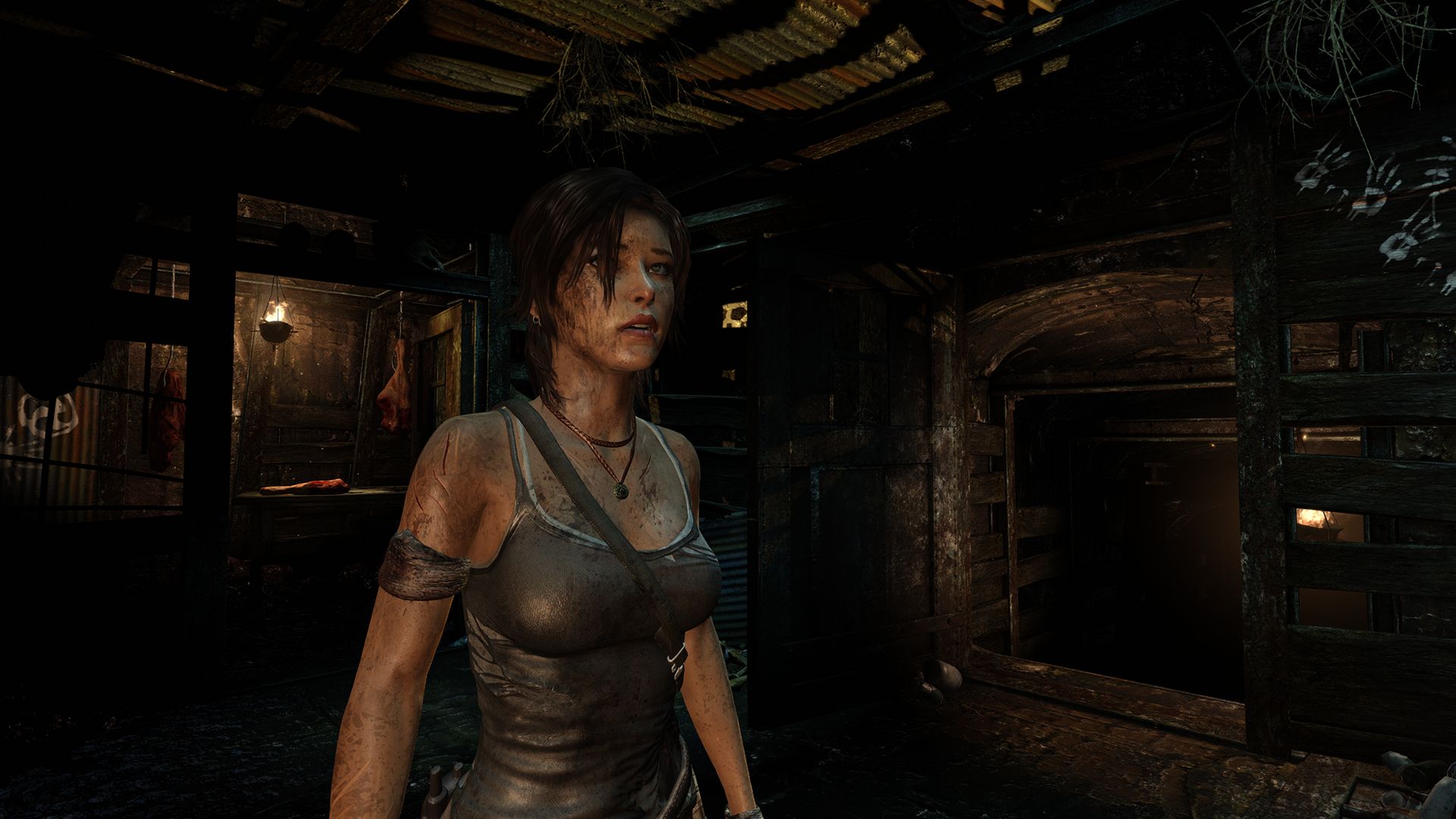 Free download wallpaper Tomb Raider, Video Game on your PC desktop