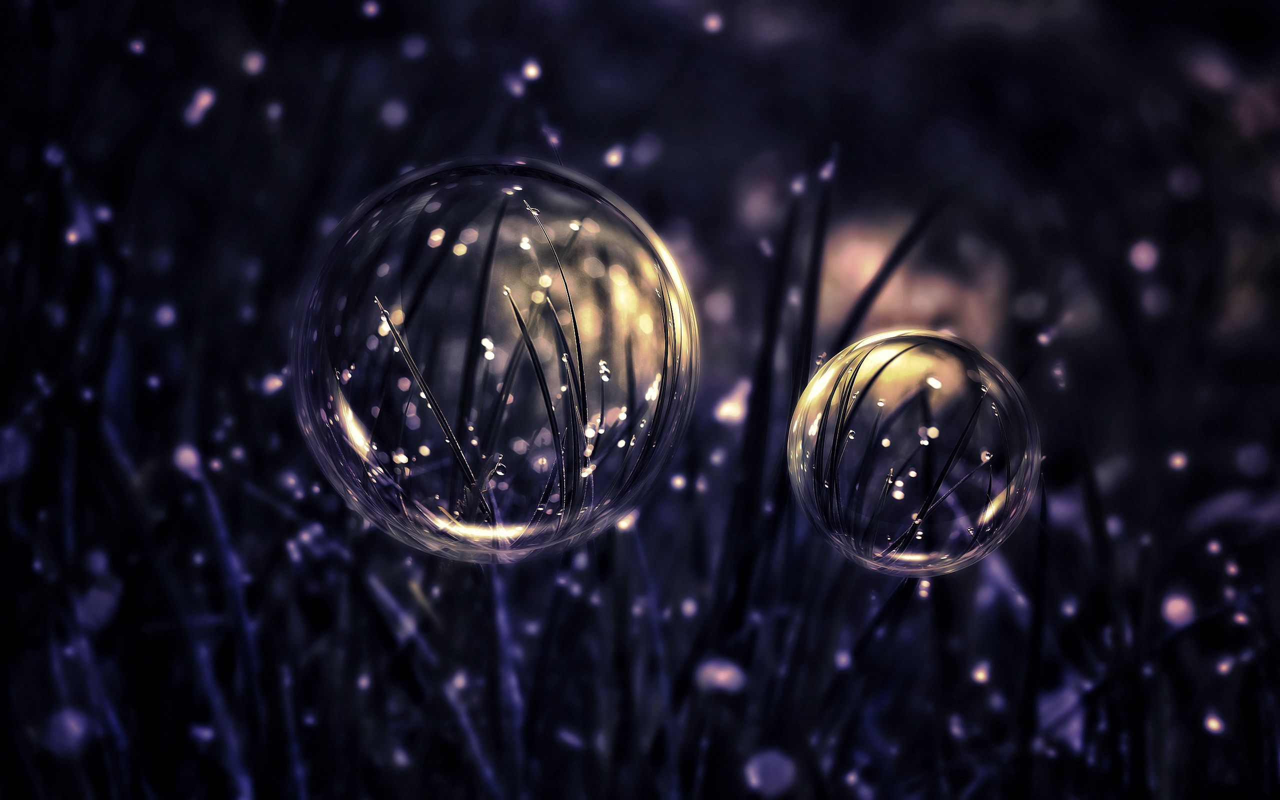 drops, dark, bubbles, grass Full HD