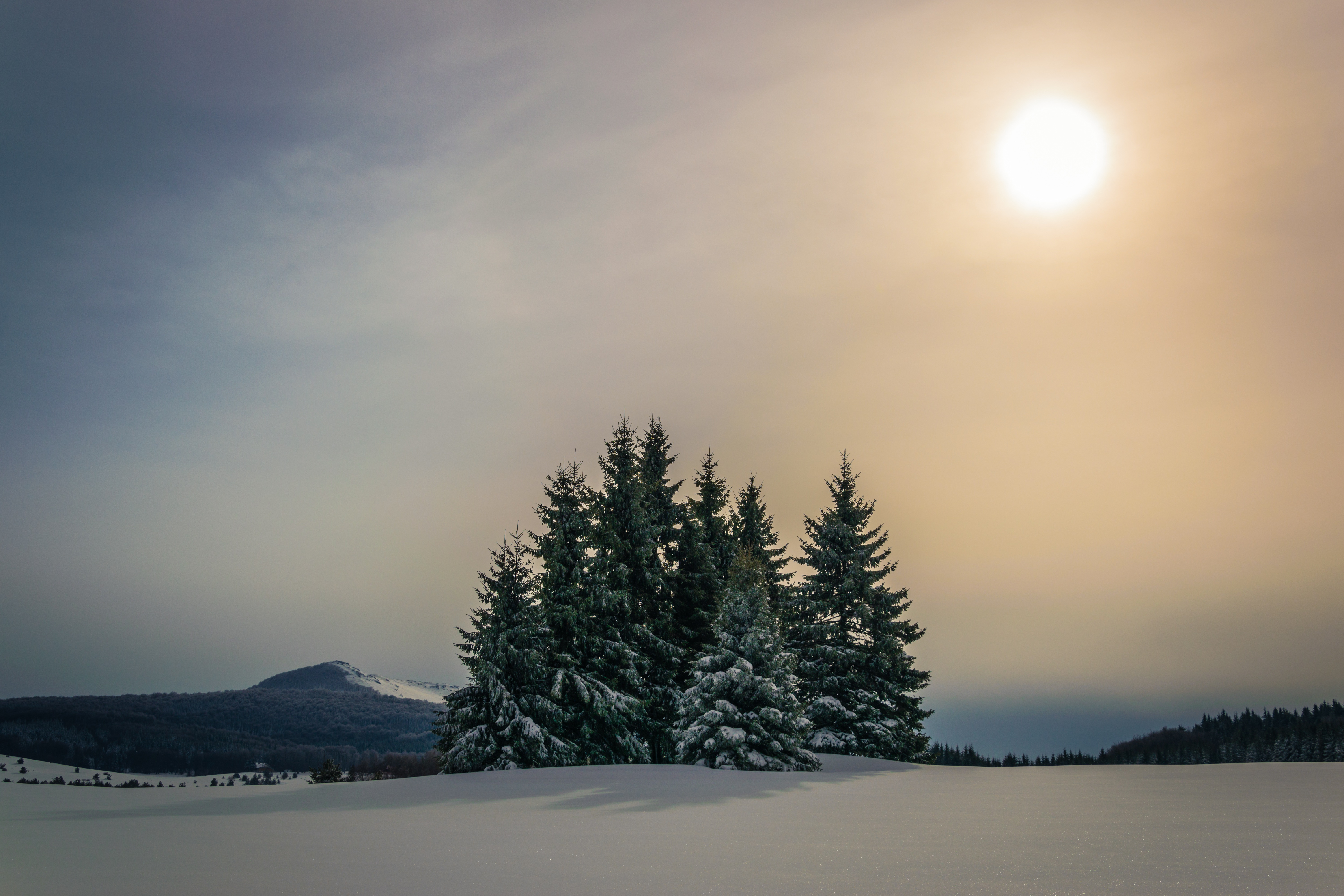 Download mobile wallpaper Winter, Sky, Sun, Snow, Mountain, Forest, Earth, Fir Tree for free.
