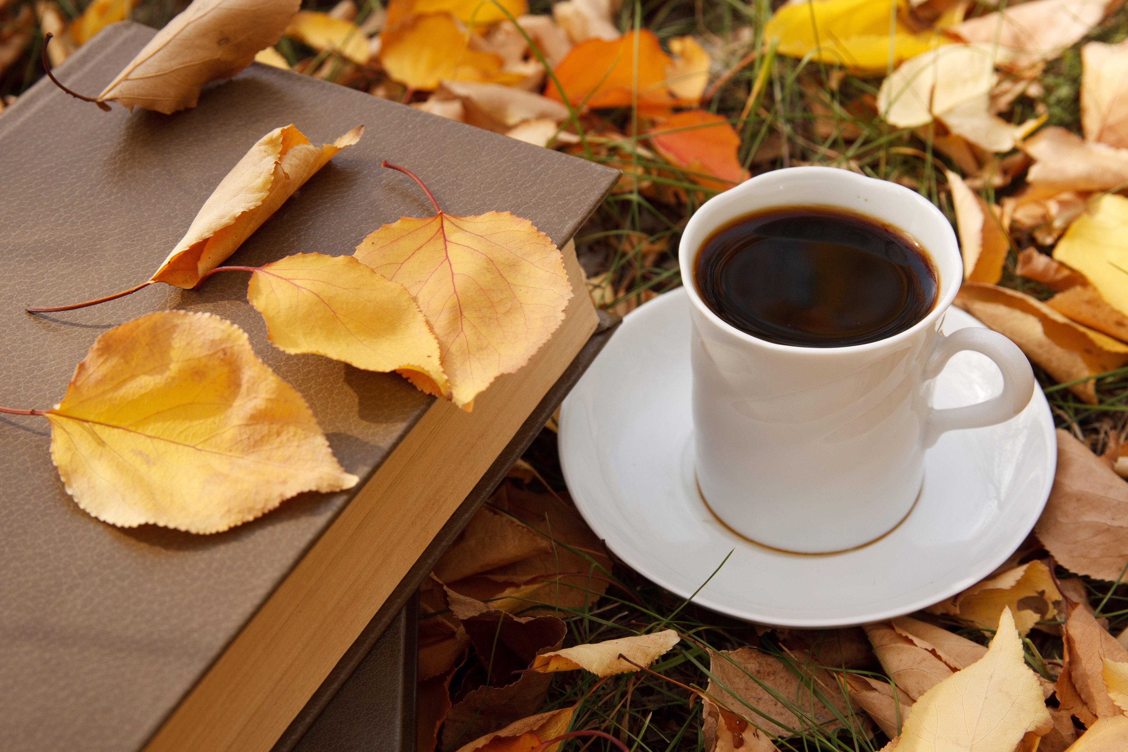 Download mobile wallpaper Food, Coffee, Still Life, Cup, Leaf, Book for free.