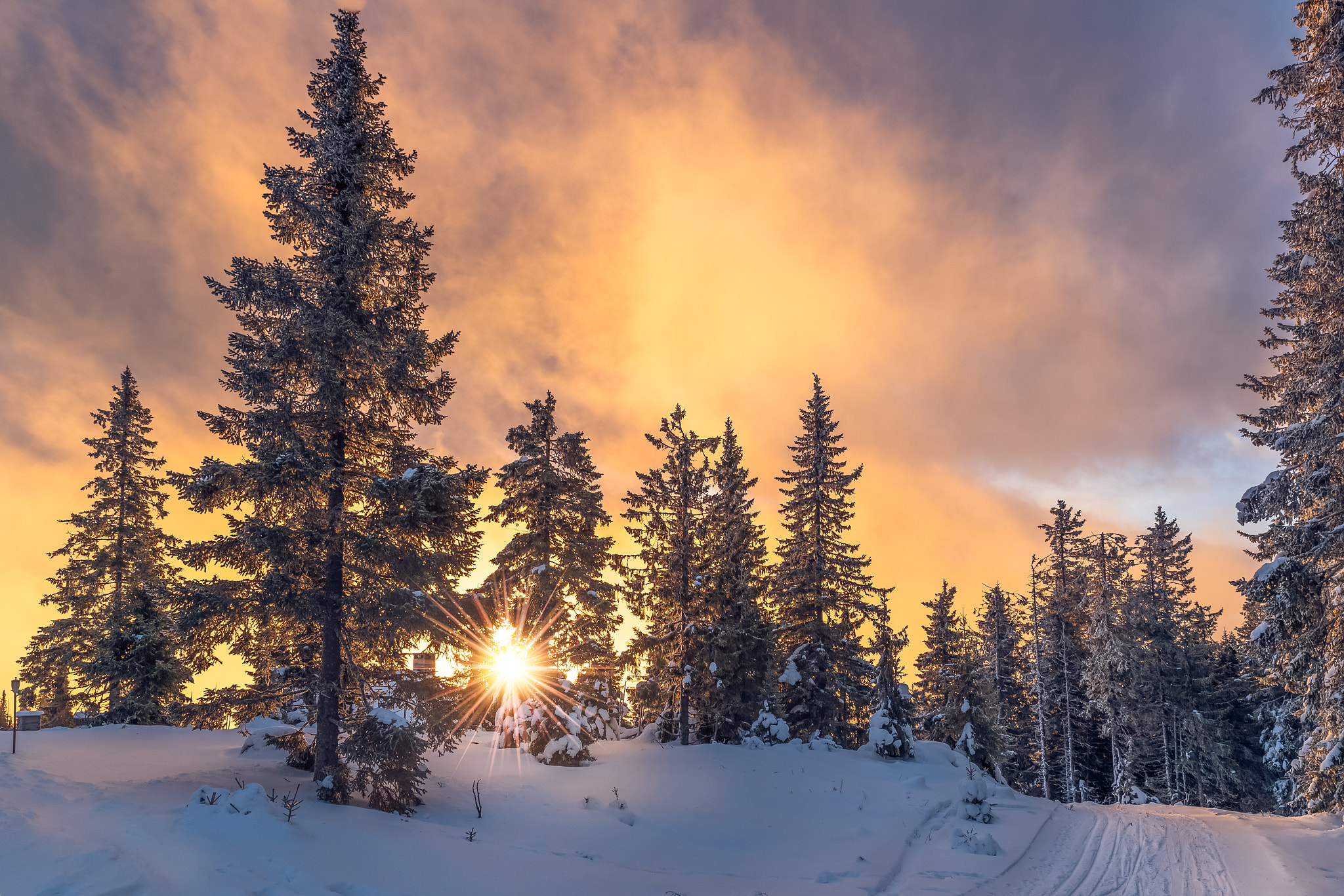 Free download wallpaper Winter, Sunset, Snow, Forest, Earth, Cloud on your PC desktop