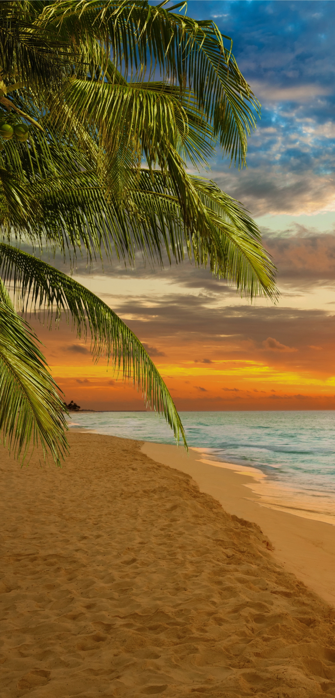 Download mobile wallpaper Sunset, Sea, Beach, Horizon, Ocean, Earth, Tropical for free.
