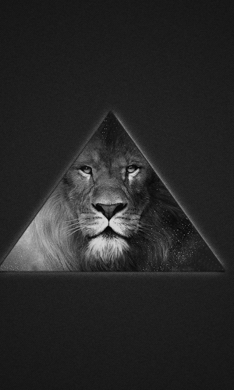 Download mobile wallpaper Cats, Lion, Animal for free.