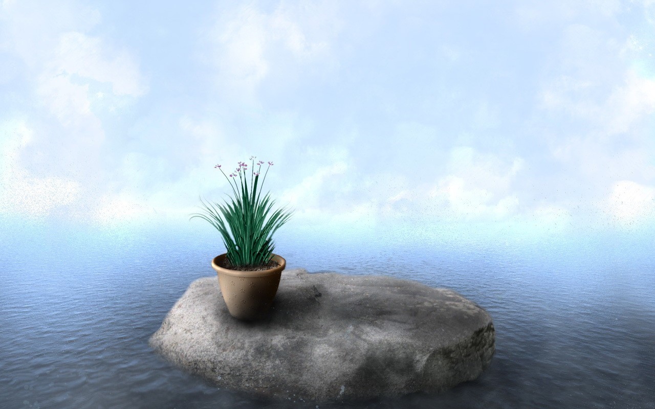 Download mobile wallpaper Plants, Stones, Sea, Flowers, Pictures for free.