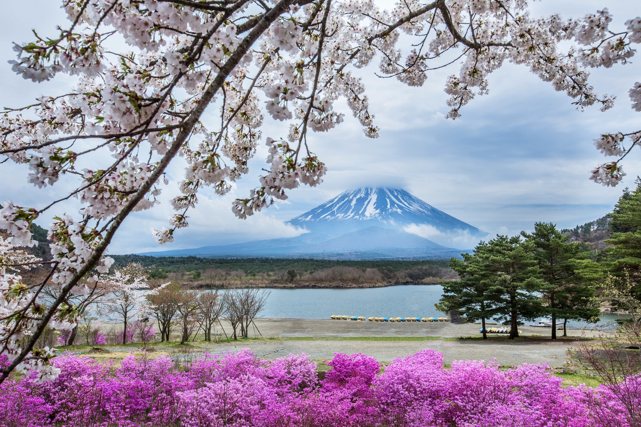 Download mobile wallpaper Landscape, Nature, Mountain, Lake, Earth, Volcano, Mount Fuji, Blossom, Volcanoes for free.