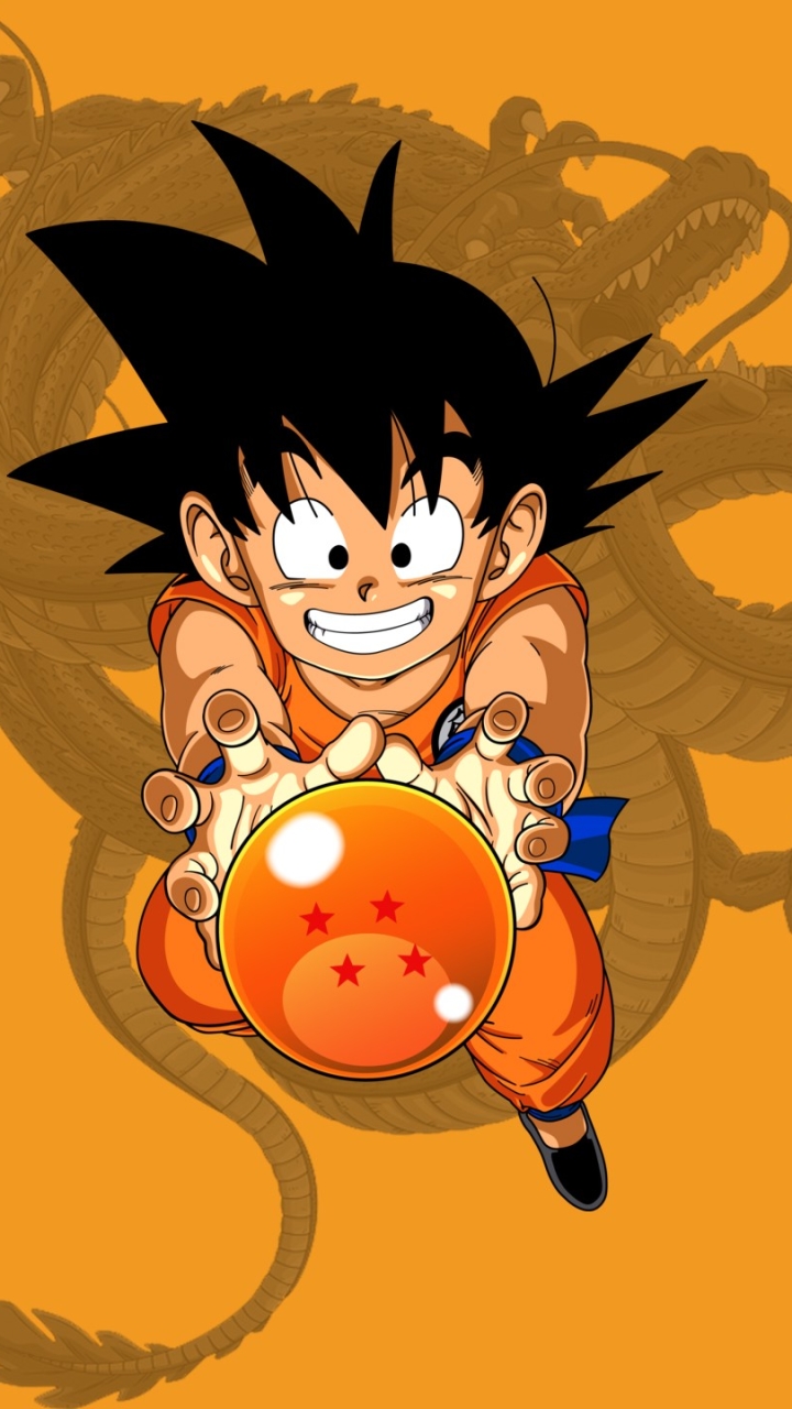 Baixar papel de parede para celular de Anime, Dragon Ball Z, Esfera Do Dragão, Goku, Dragon Ball gratuito.