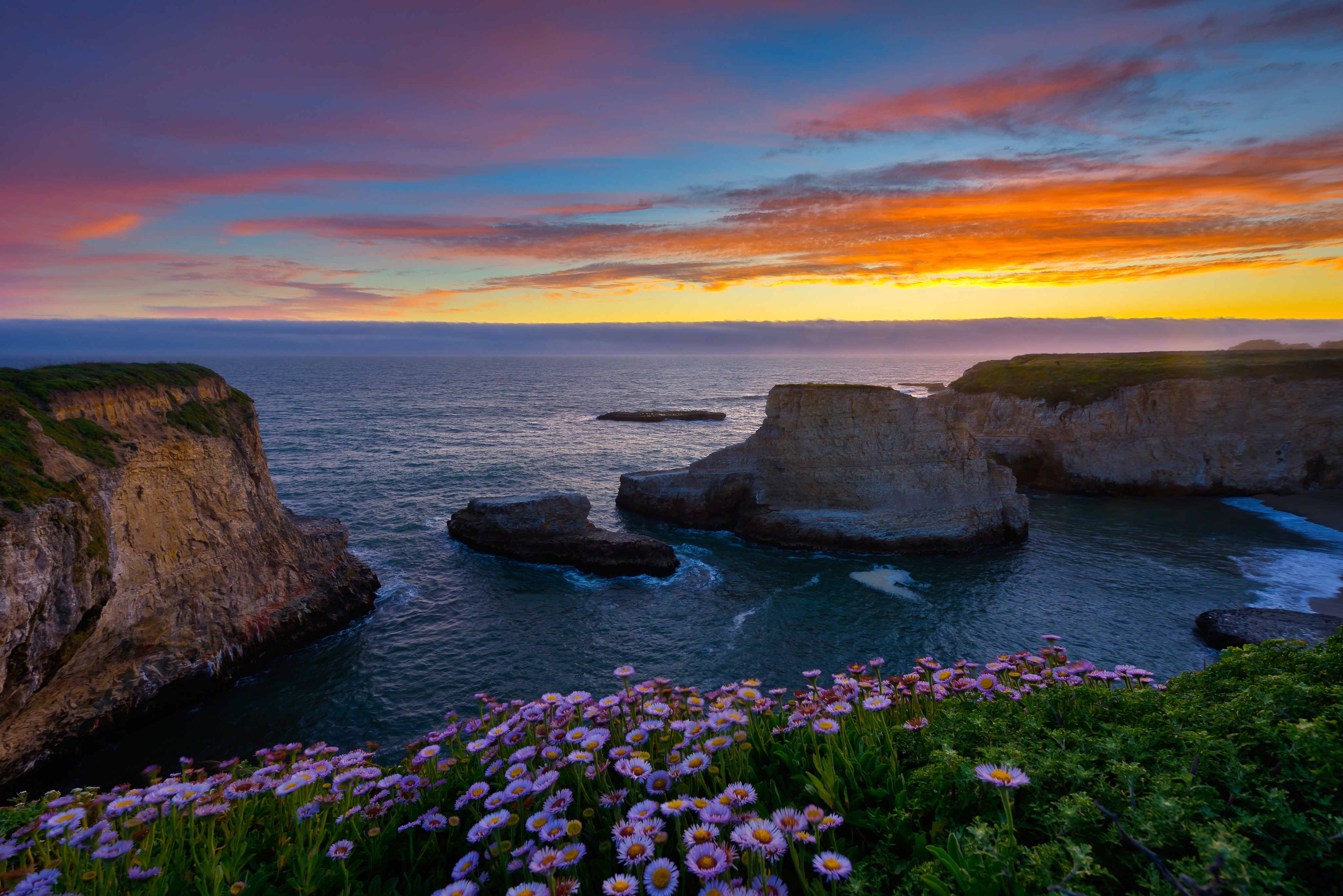 Free download wallpaper Sunset, Flower, Coast, Ocean, Earth on your PC desktop