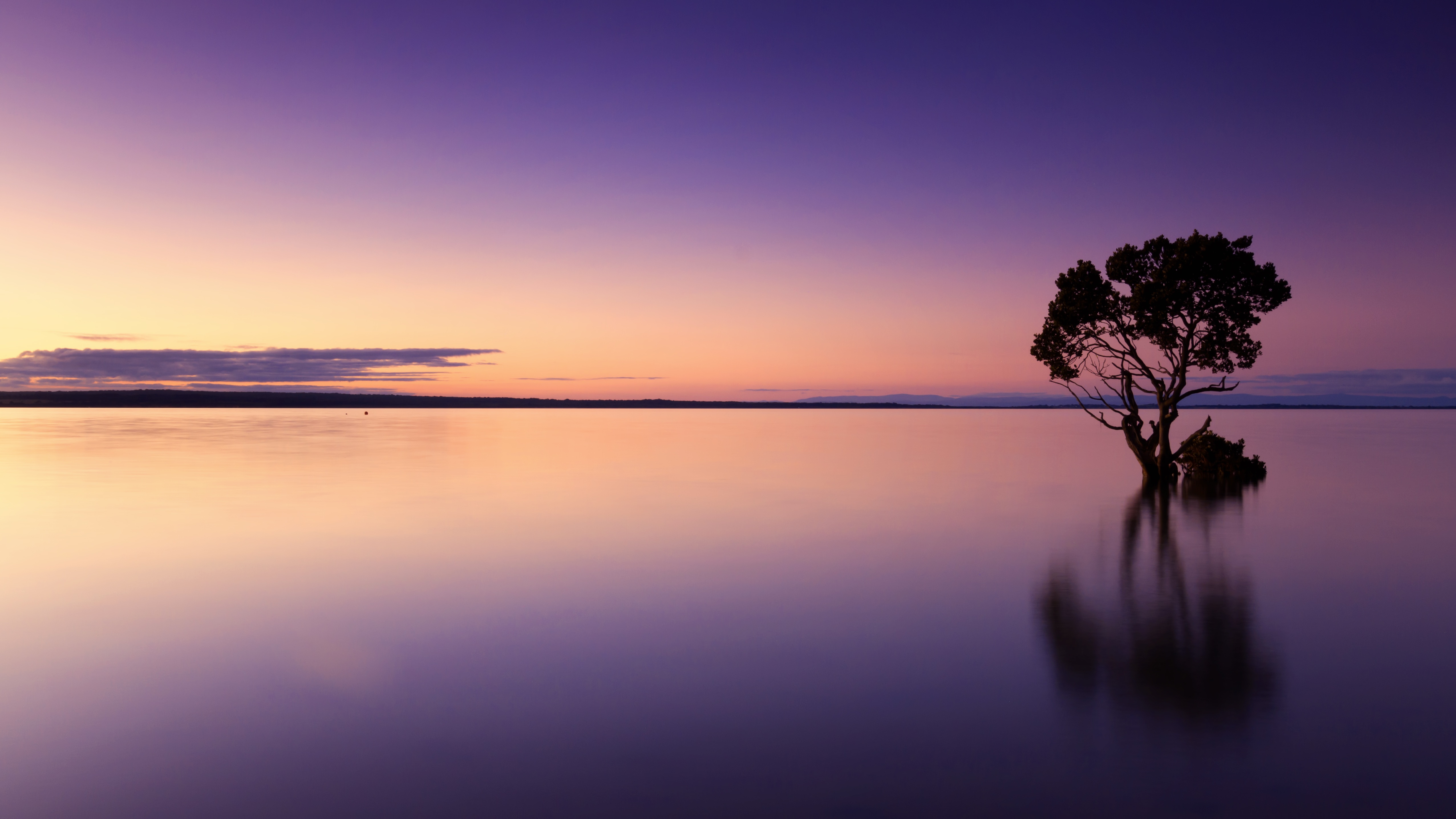 Free download wallpaper Water, Sunset, Horizon, Reflection, Tree, Earth, Evening, Lonely Tree on your PC desktop