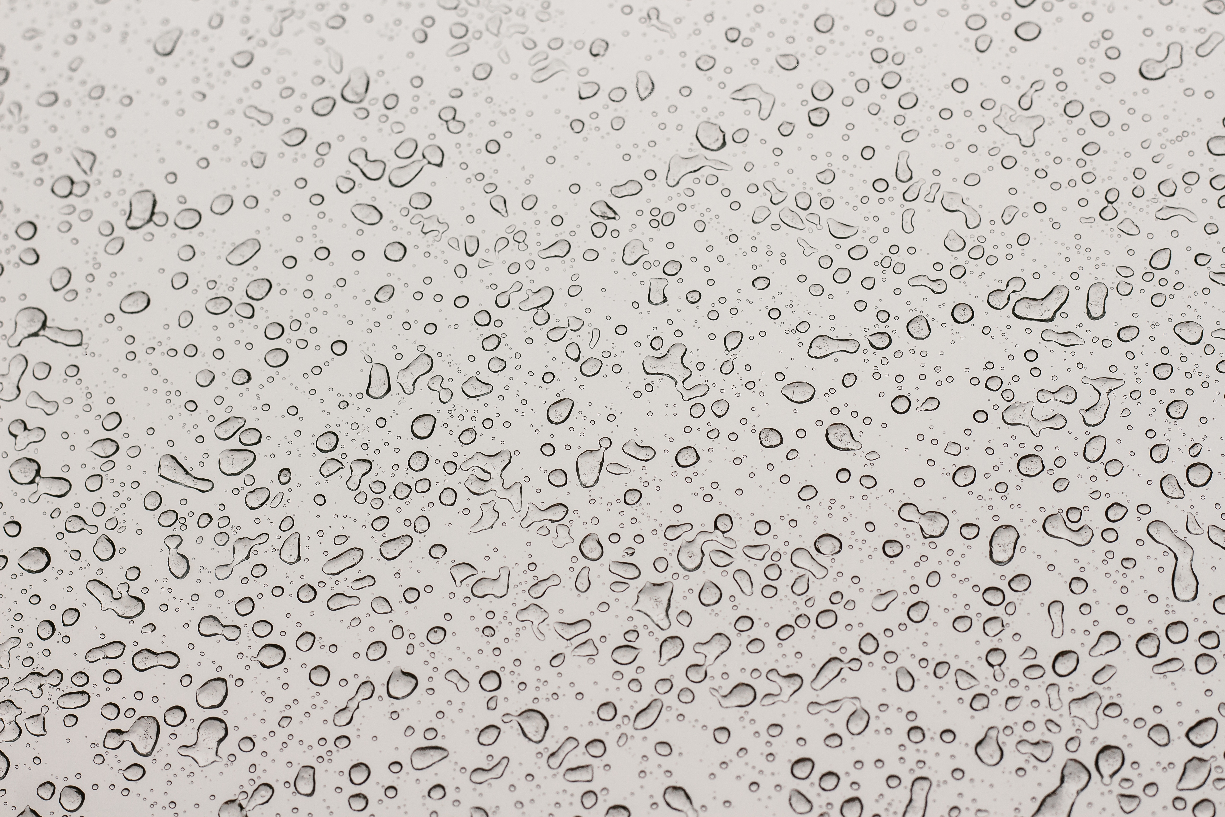 drops, macro, light, wet, surface, light coloured, humid HD wallpaper