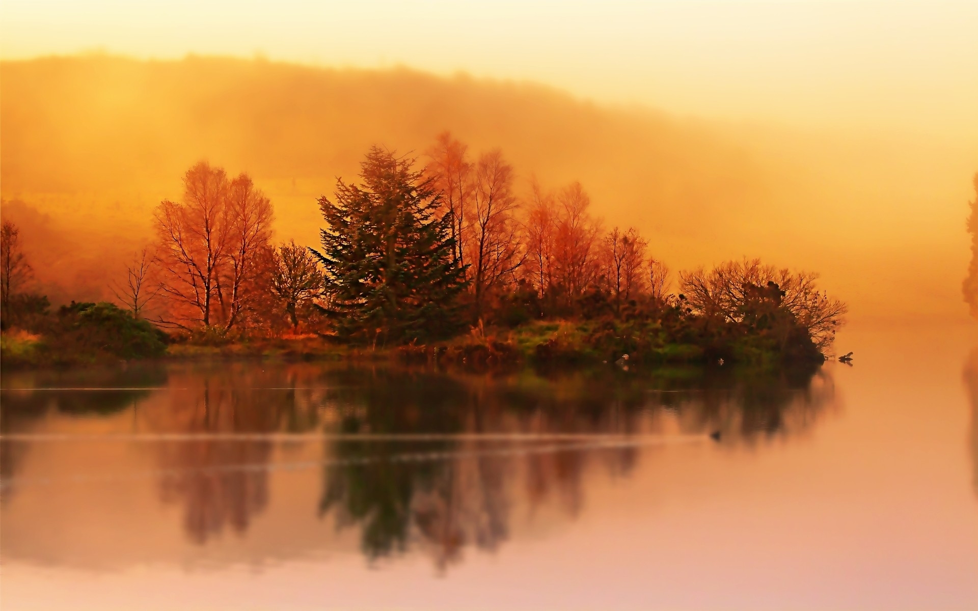 Free download wallpaper Landscape, Lake, Reflection, Forest, Tree, Fog, Fall, Earth, Bench, River, Season, Scenic on your PC desktop