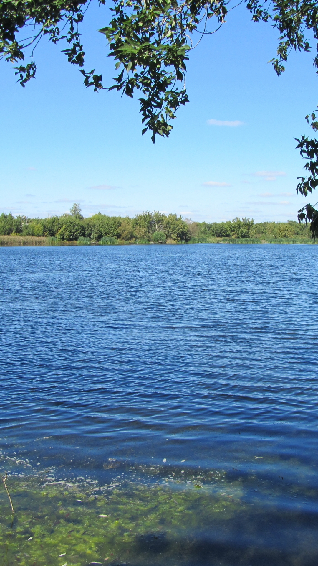 Descarga gratuita de fondo de pantalla para móvil de Lagos, Lago, Tierra/naturaleza.