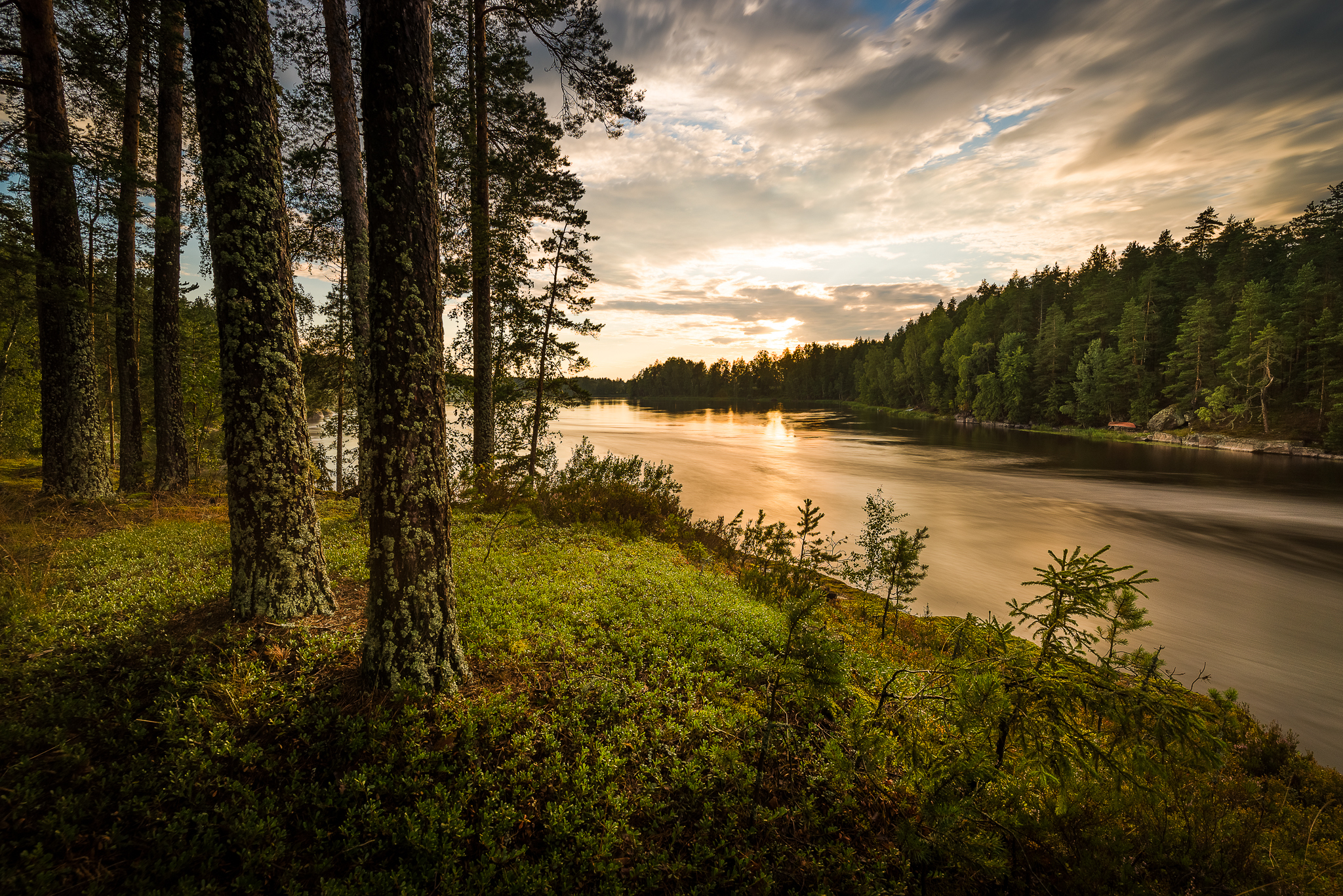 Free download wallpaper Nature, Forest, Tree, Earth, Cloud, River on your PC desktop