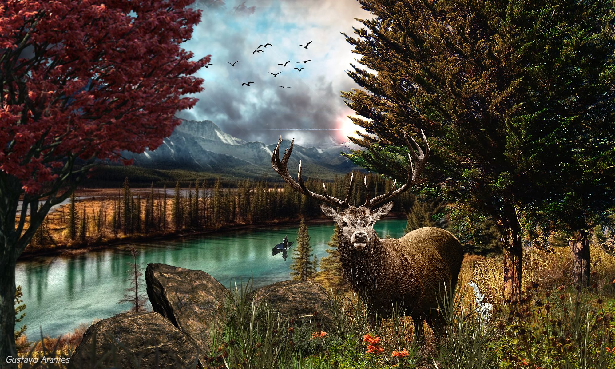 buck, landscape, animal, deer, forest, mountain