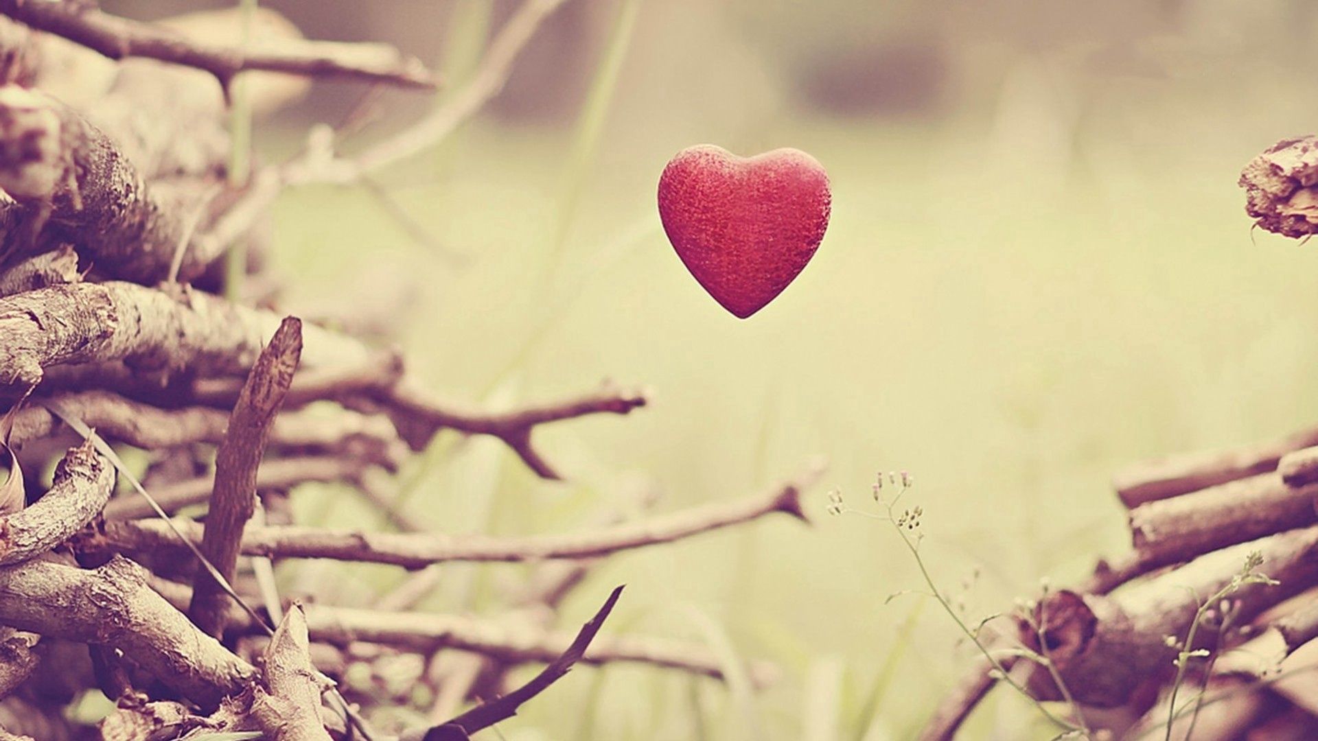 Téléchargez des papiers peints mobile Branches, Herbe, Un Cœur, Cœur, Amour gratuitement.