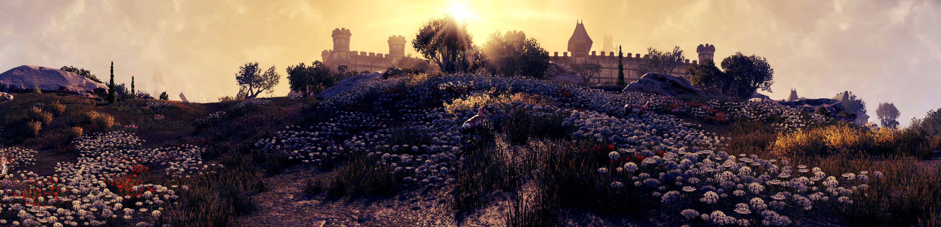 Free download wallpaper Sun, Meadow, Video Game, The Elder Scrolls Online on your PC desktop