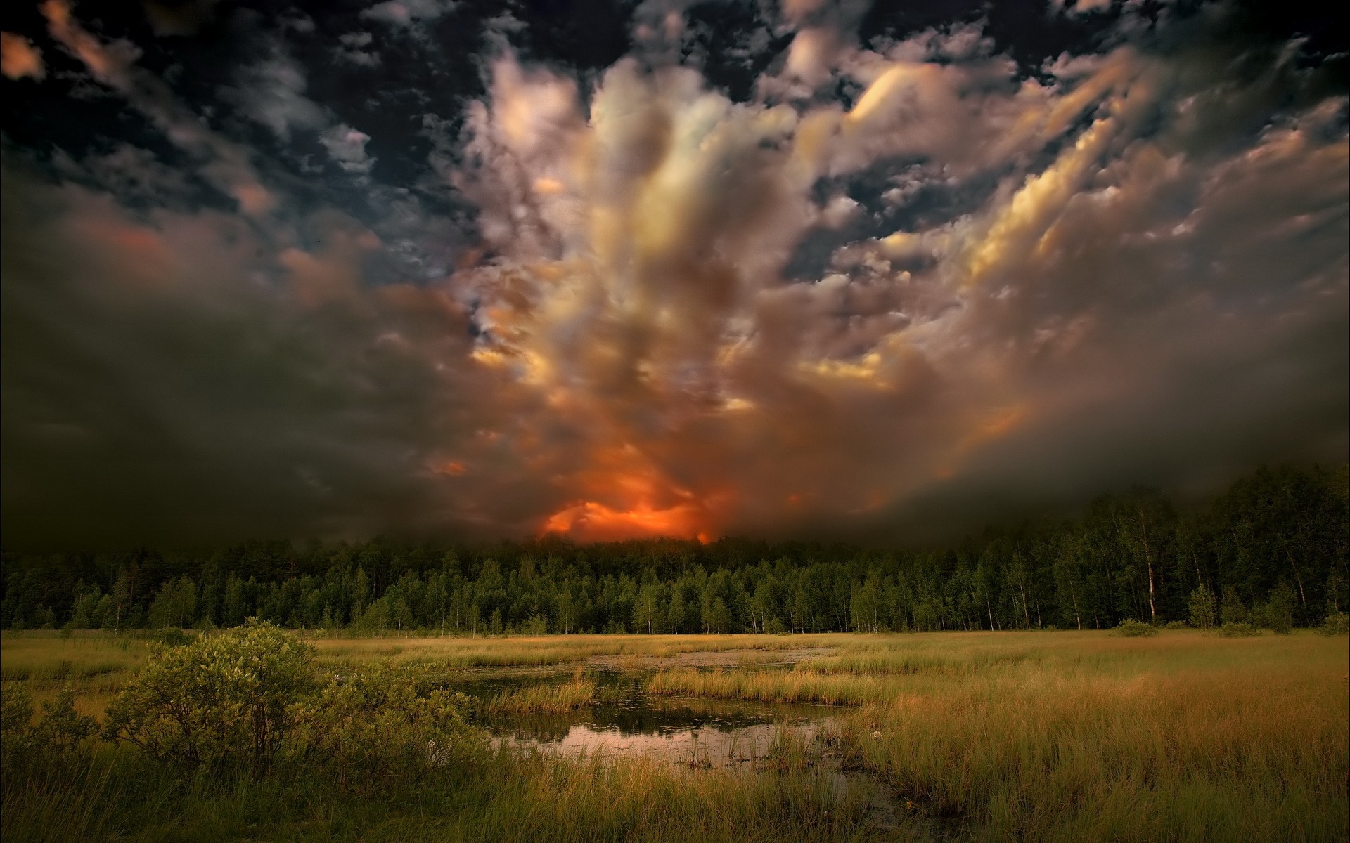 167569 скачать картинку лес, закат, земля/природа, живописный, облака, тьма, поле, небо, буря - обои и заставки бесплатно