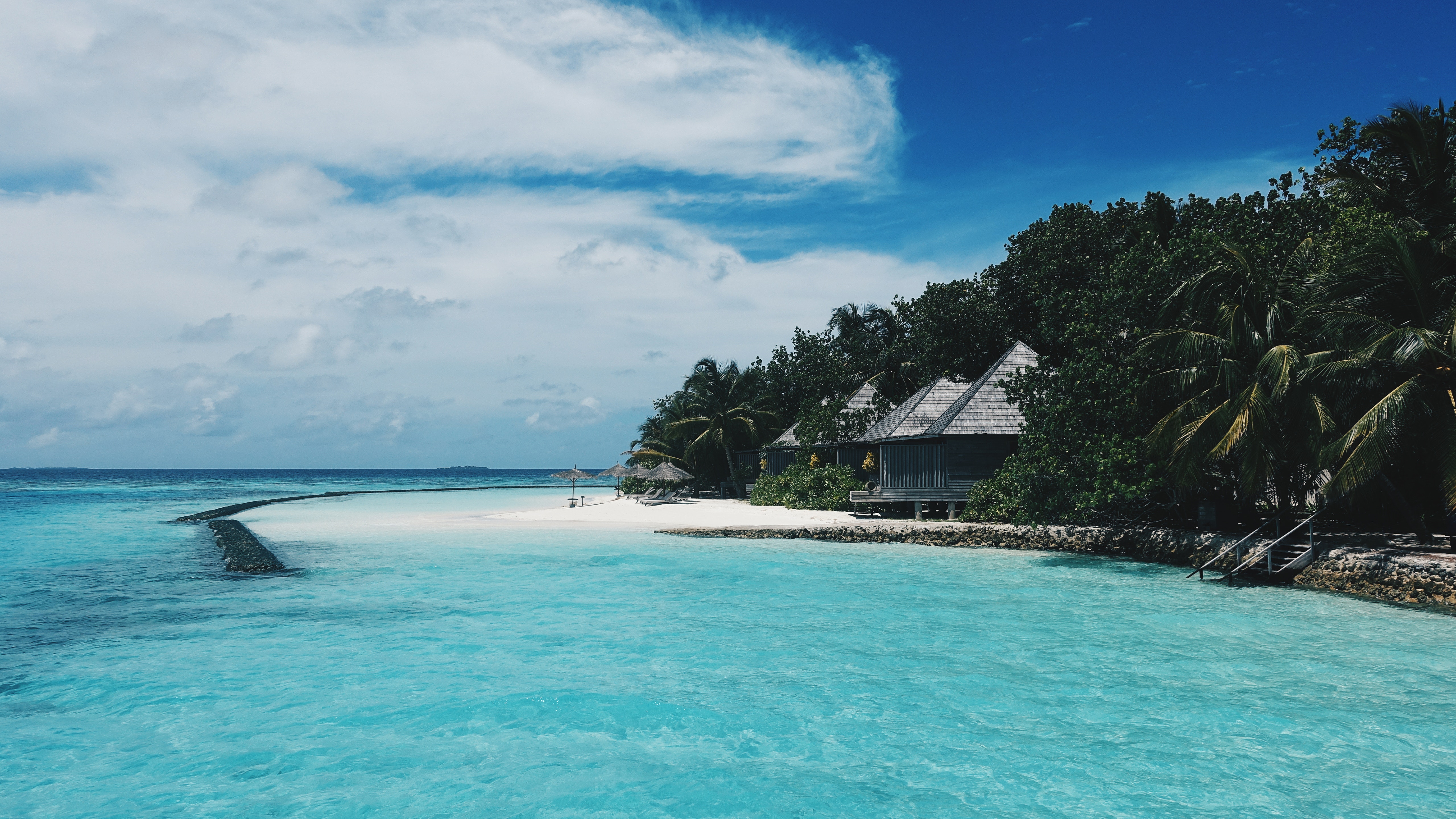 summer, nature, beach, trees, tropics, maldives, bungalow 4K Ultra
