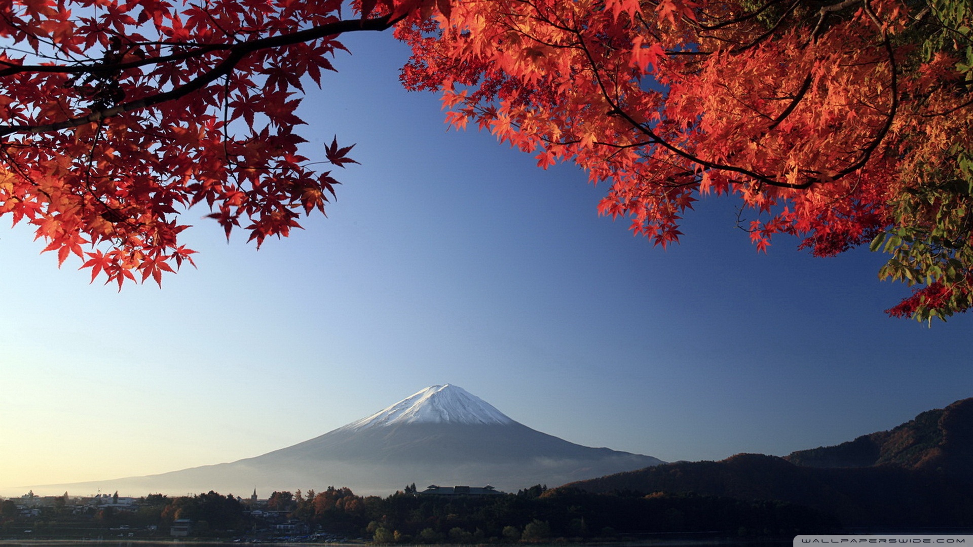 Скачать обои бесплатно Япония, Гора Фудзи, Земля/природа картинка на рабочий стол ПК