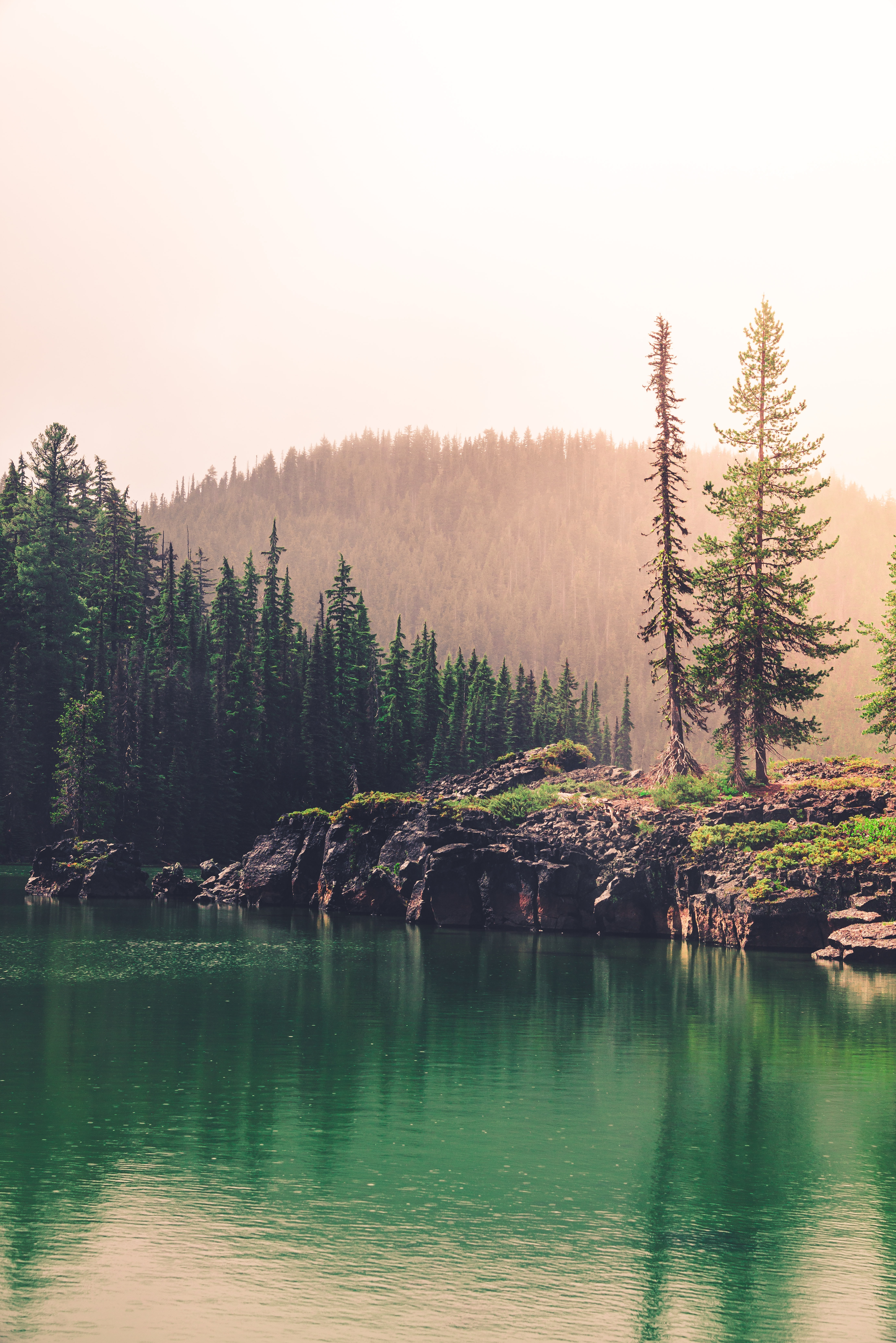 PCデスクトップに自然, 湖, 岩, 森林, 森, スプルース, モミ, 丘画像を無料でダウンロード