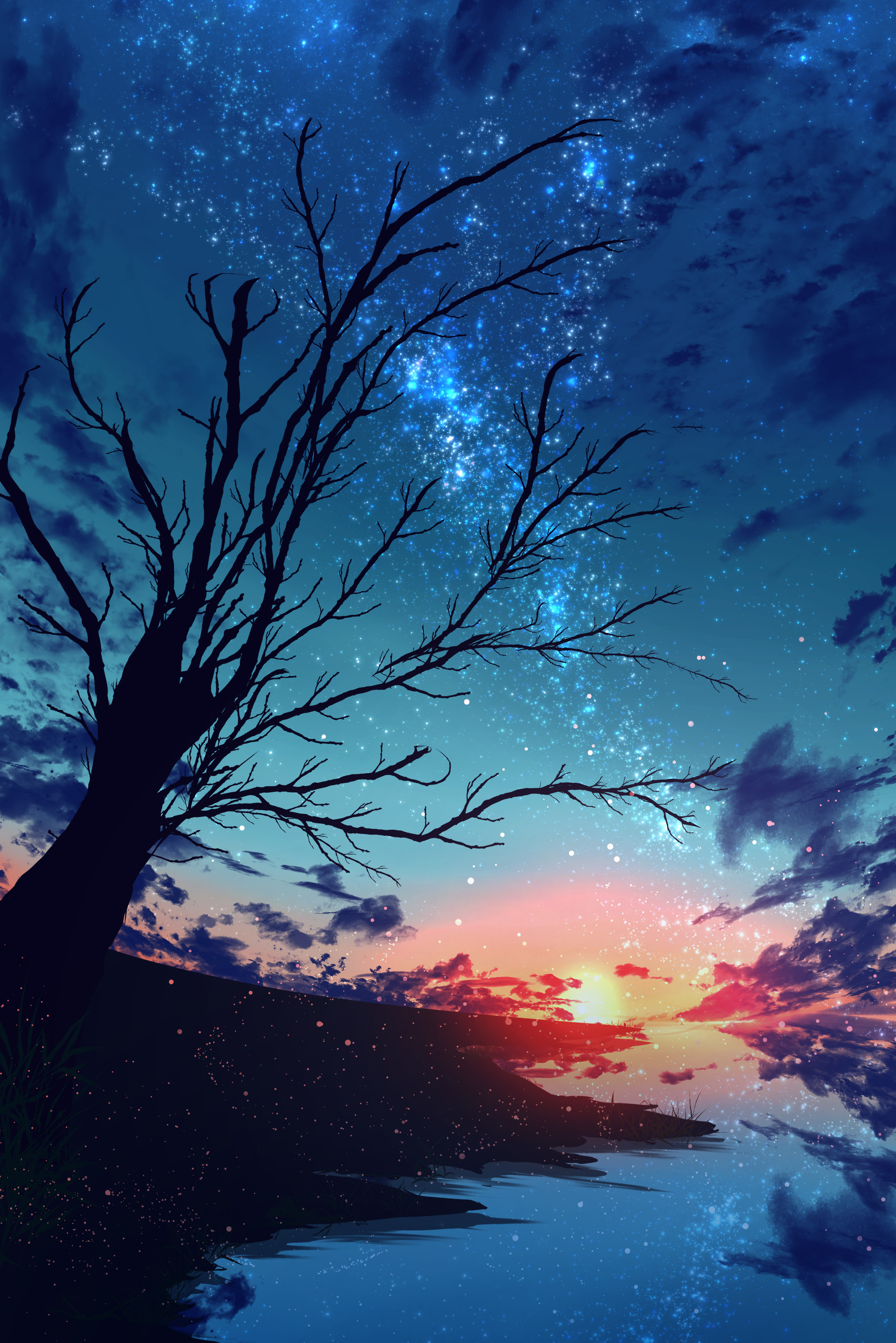 sunset, nebula, art, stars, wood, tree, branches, particles 1080p