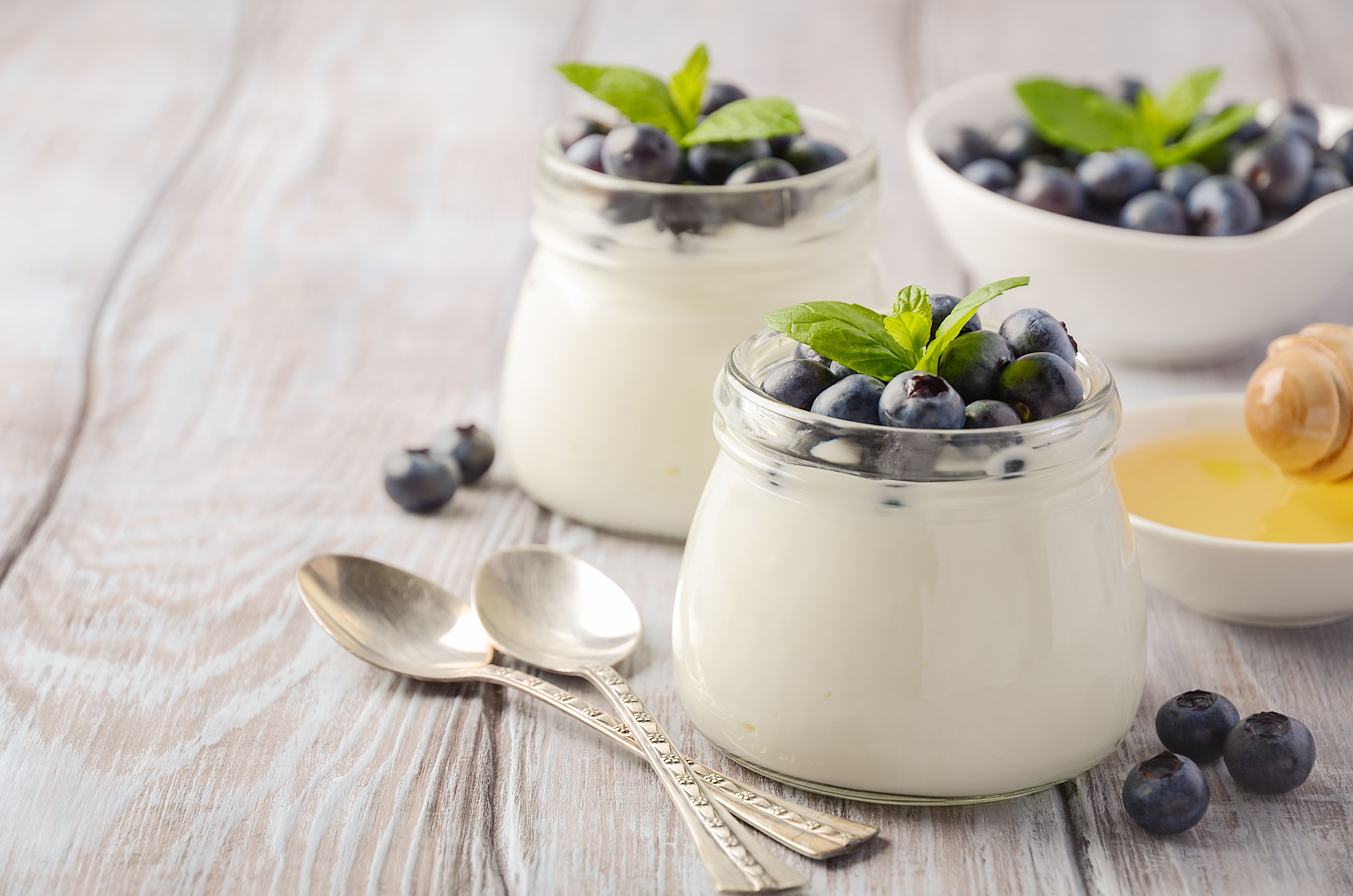 Download mobile wallpaper Food, Blueberry, Still Life, Berry, Fruit, Yogurt for free.