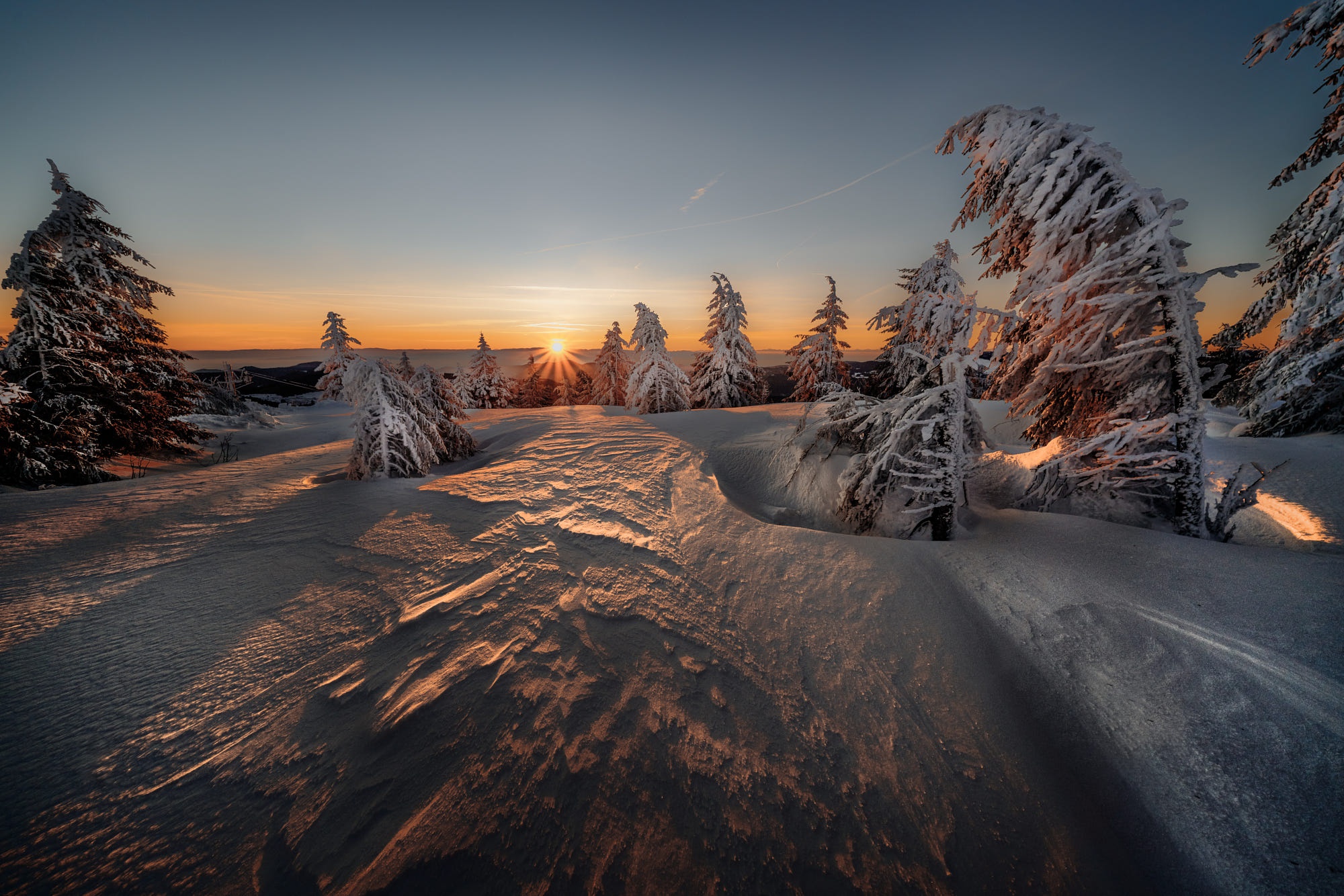 PCデスクトップに冬, 自然, 日没, 雪, 地球, スプルース画像を無料でダウンロード