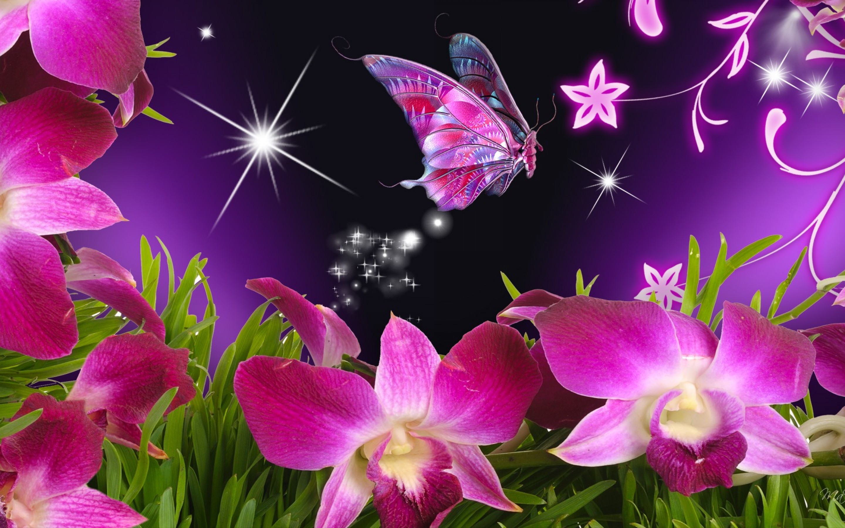 Descarga gratis la imagen Flores, Flor, Mariposa, Artístico, Orquídea en el escritorio de tu PC