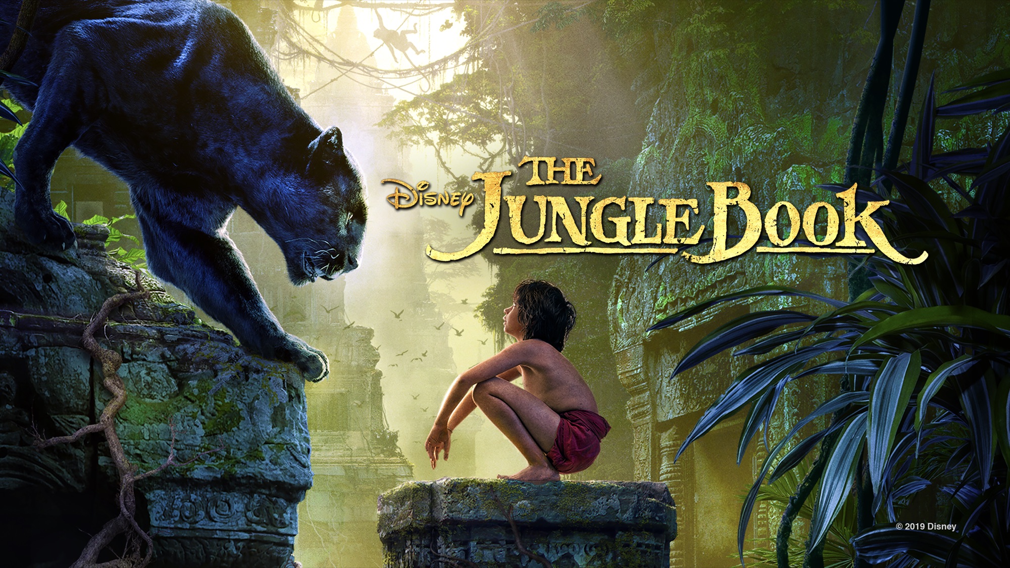Téléchargez gratuitement l'image Film, Le Livre De La Jungle, Le Livre De La Jungle (2016) sur le bureau de votre PC