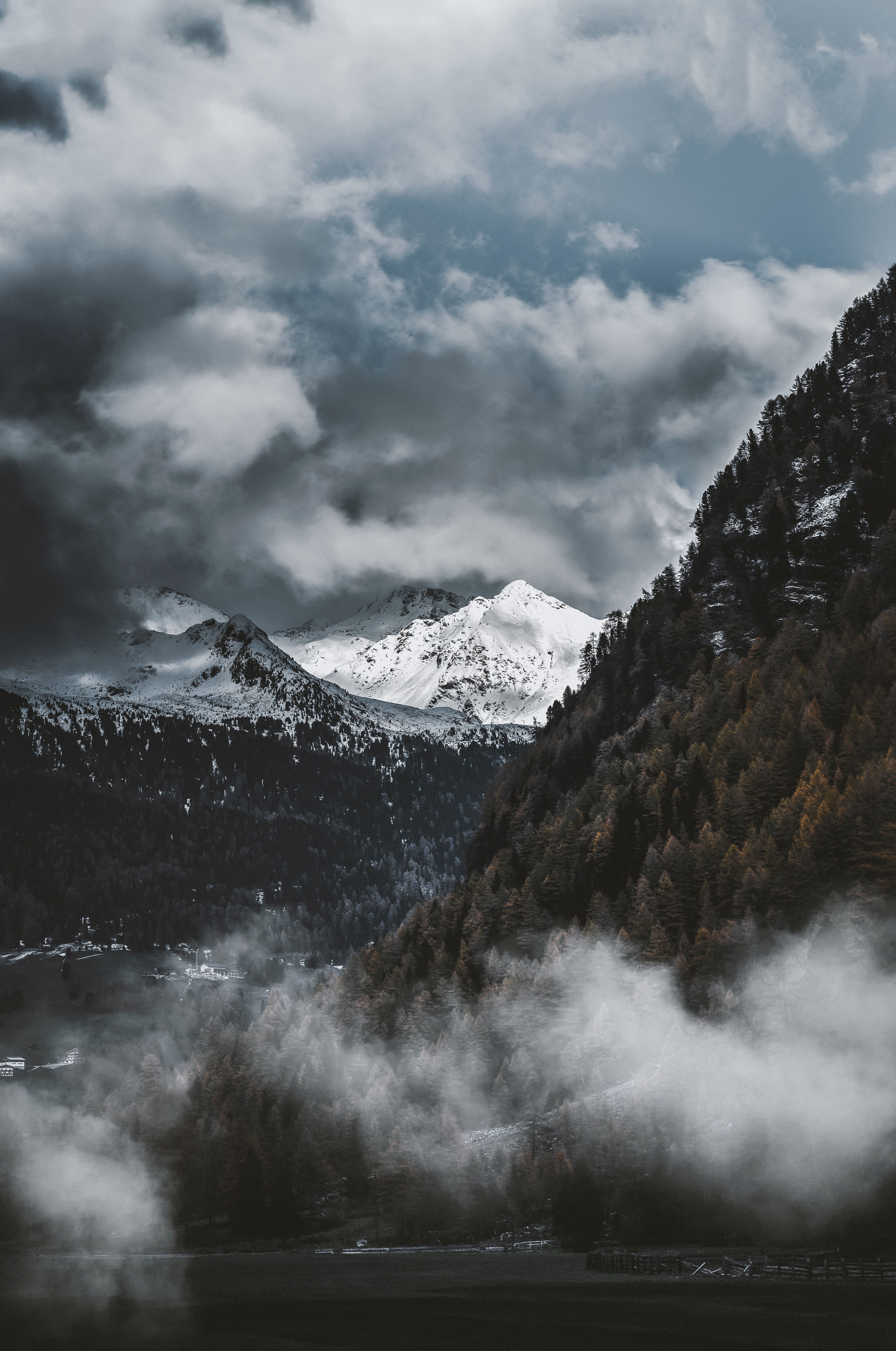 126267 Hintergrundbild herunterladen natur, bäume, mountains, nebel, oberteile, scheitelpunkt, schneebedeckt, schneebedeckten - Bildschirmschoner und Bilder kostenlos
