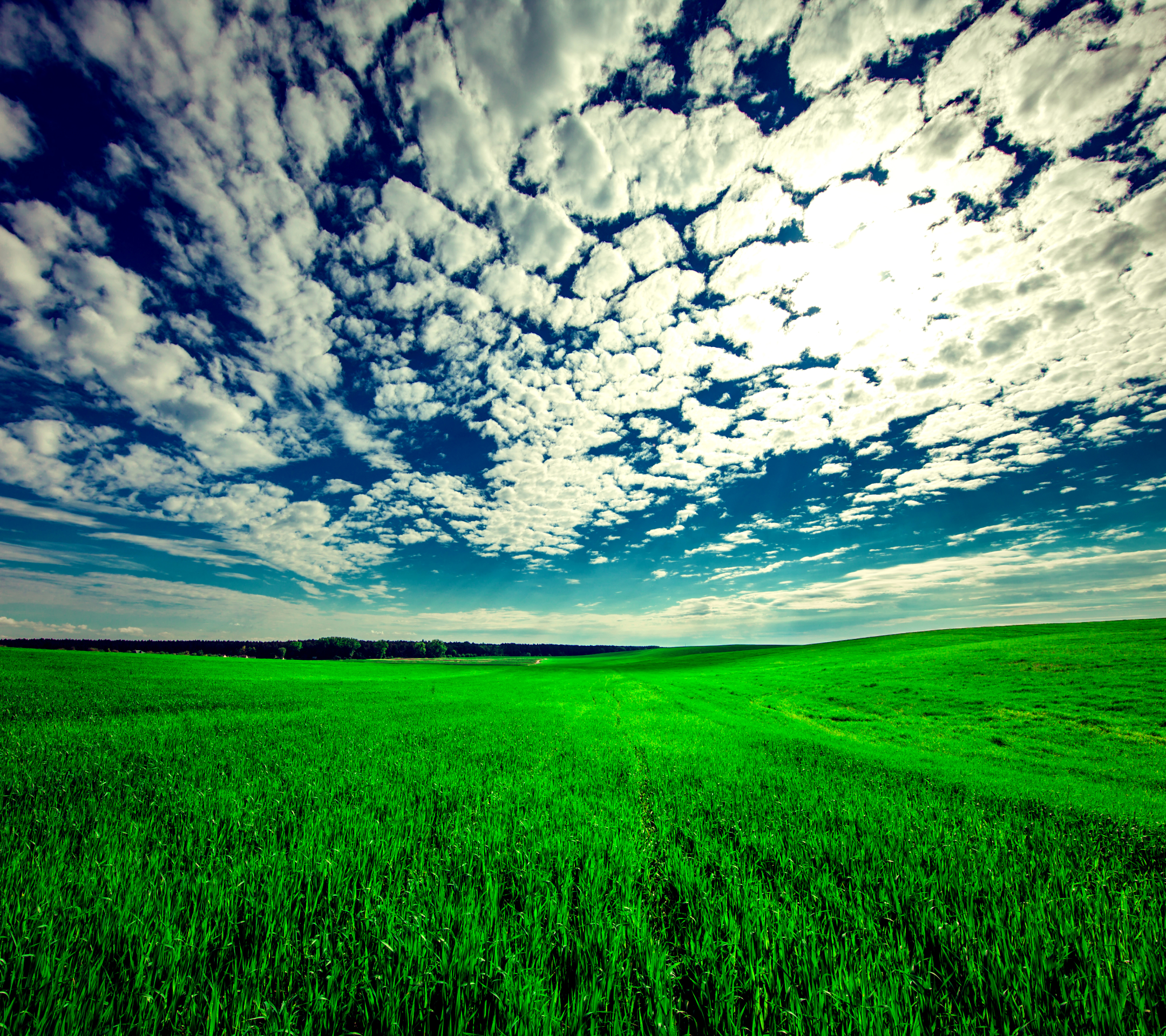 Download mobile wallpaper Landscape, Grass, Sky, Earth, Field, Cloud for free.