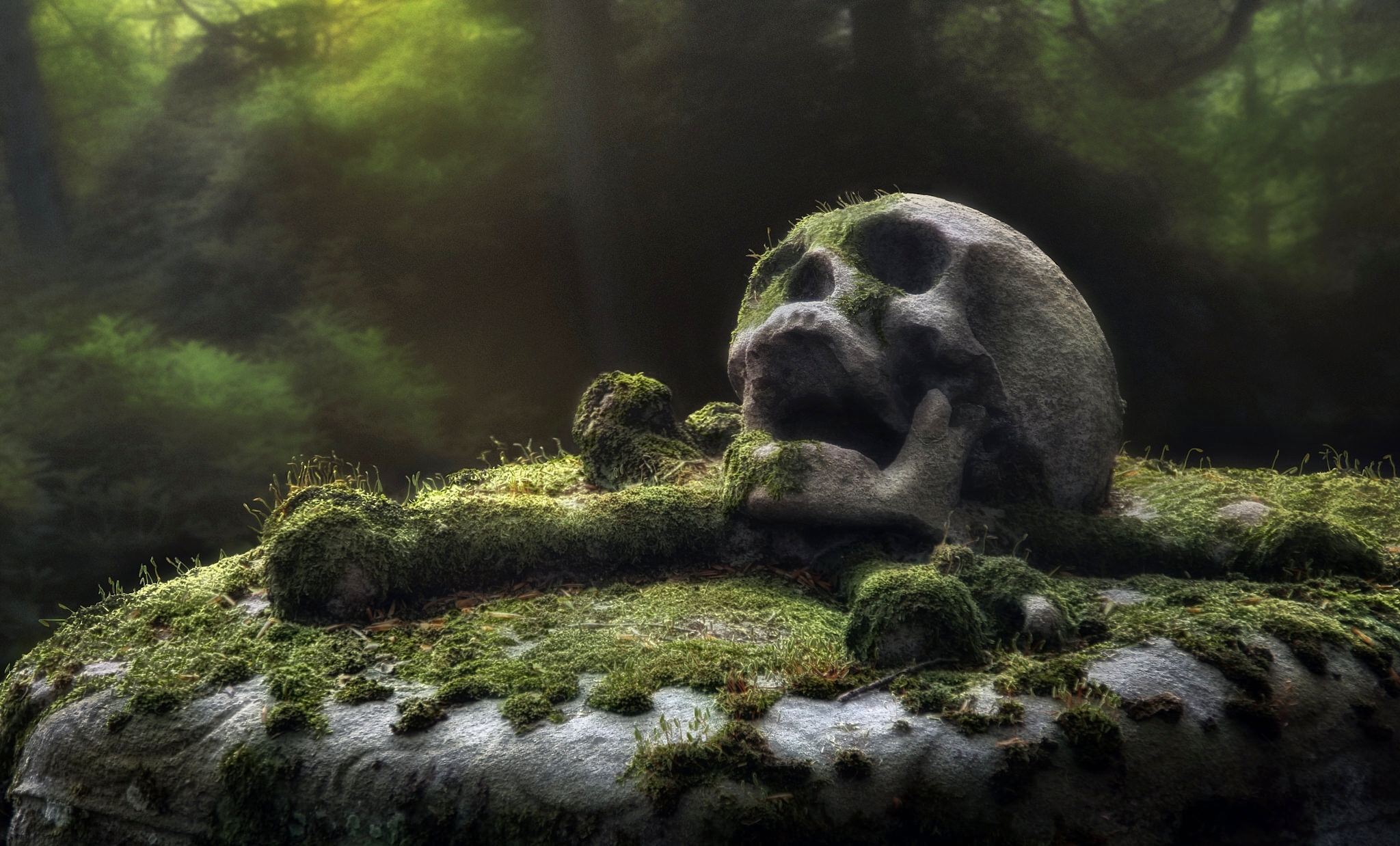Free download wallpaper Dark, Moss, Skull on your PC desktop