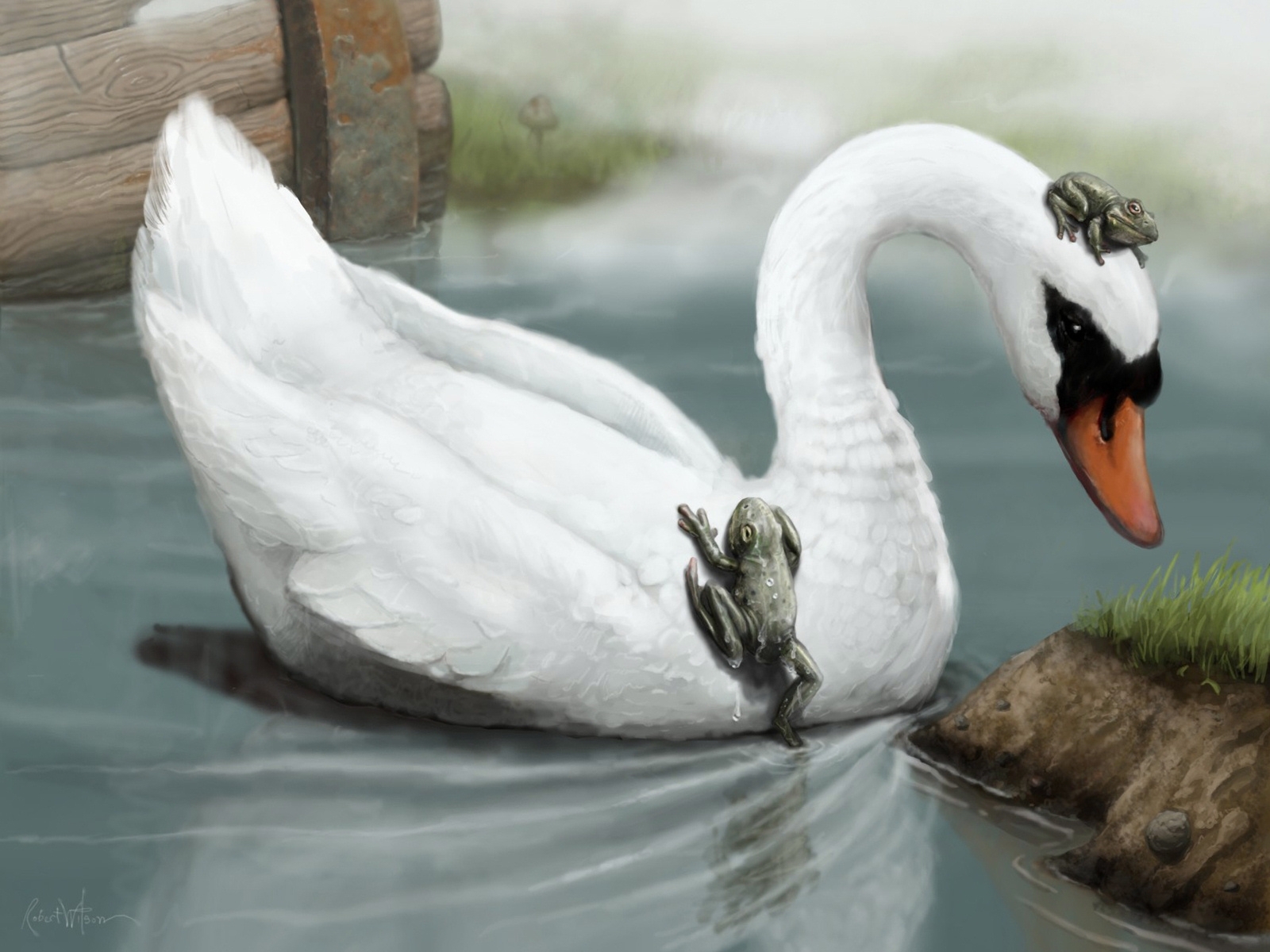 Descarga gratis la imagen Animales, Cisnes, Birds, Imágenes en el escritorio de tu PC